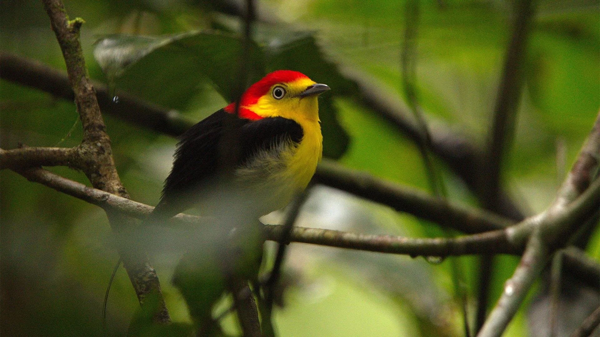 Colombia: Wild and Free