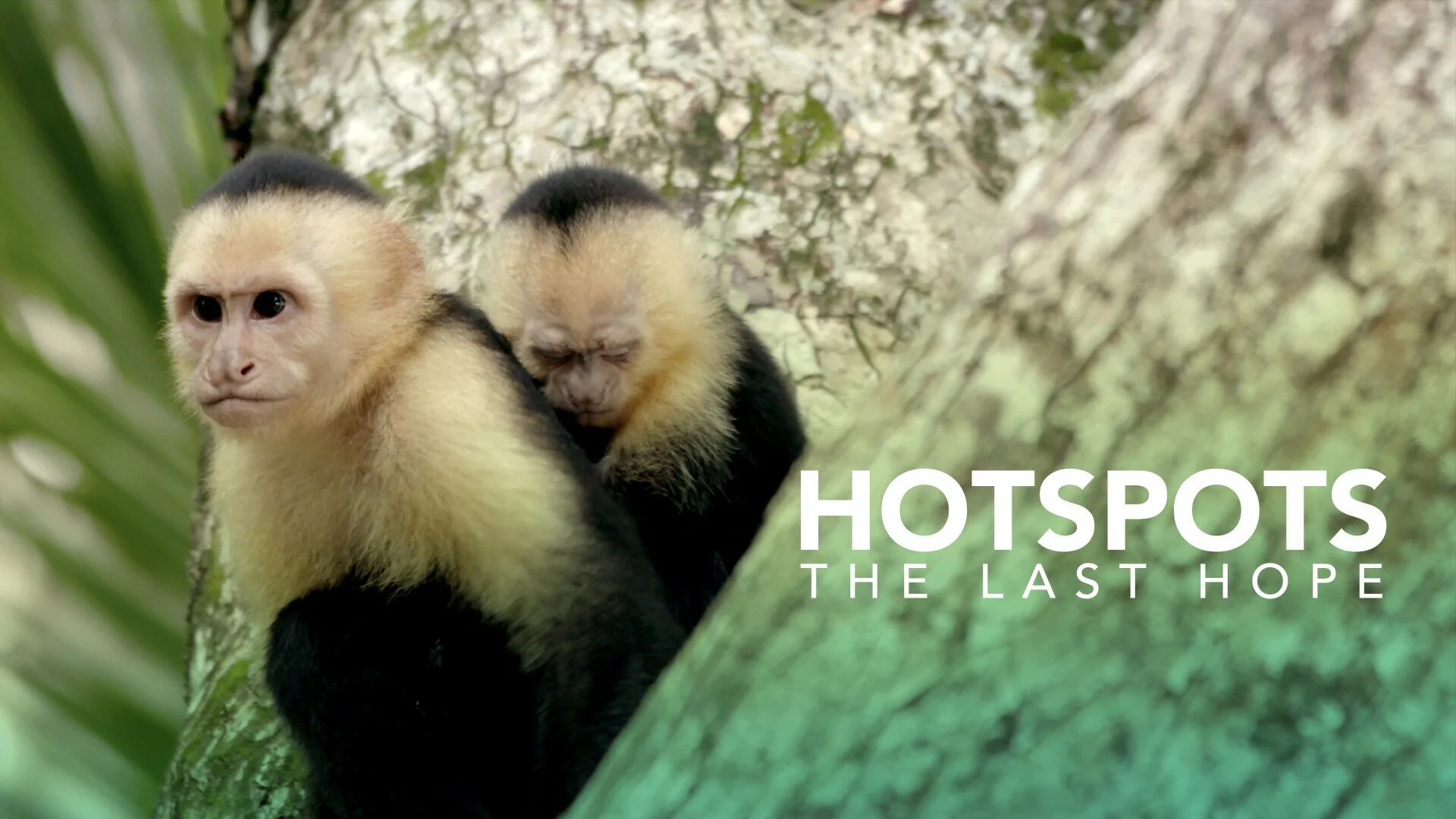 Hotspots: The Last Hope
