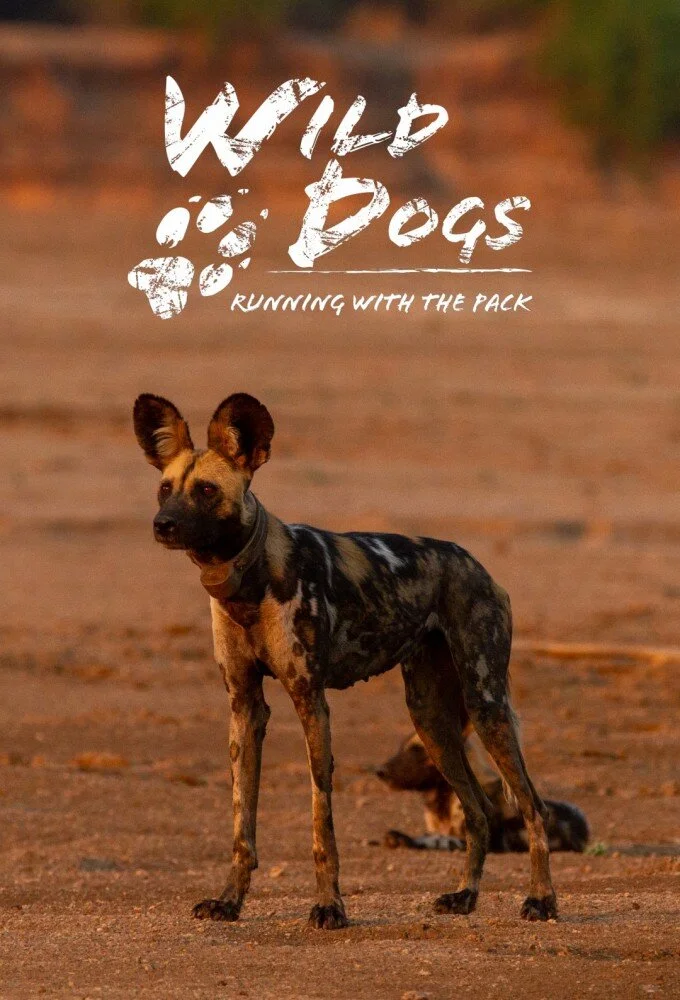 Wild Dogs: Running with the Pack poster