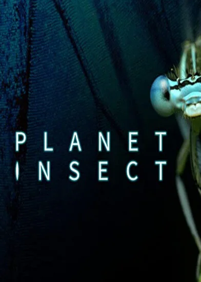 Pôster de Planet Insect