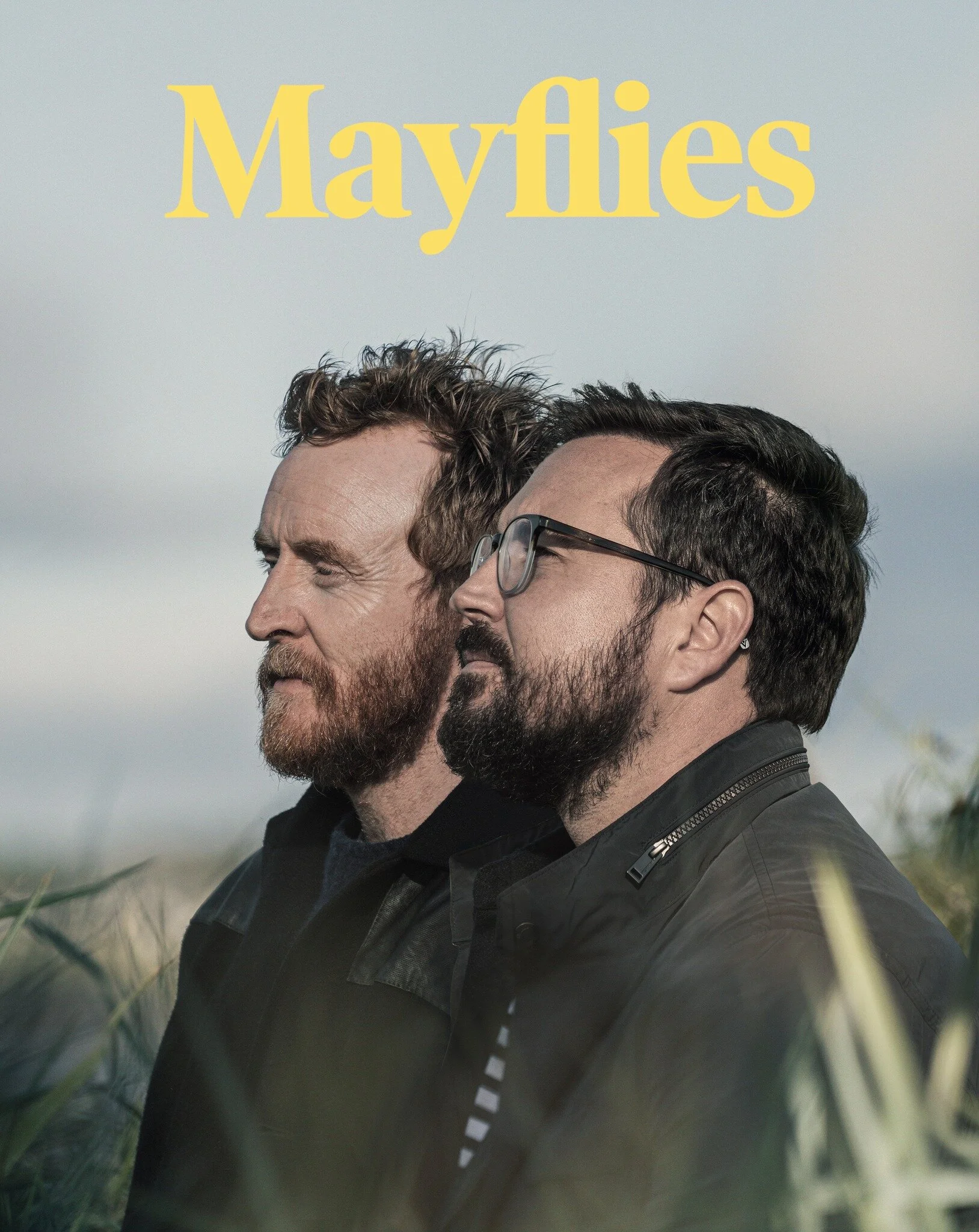 Plakat Mayflies