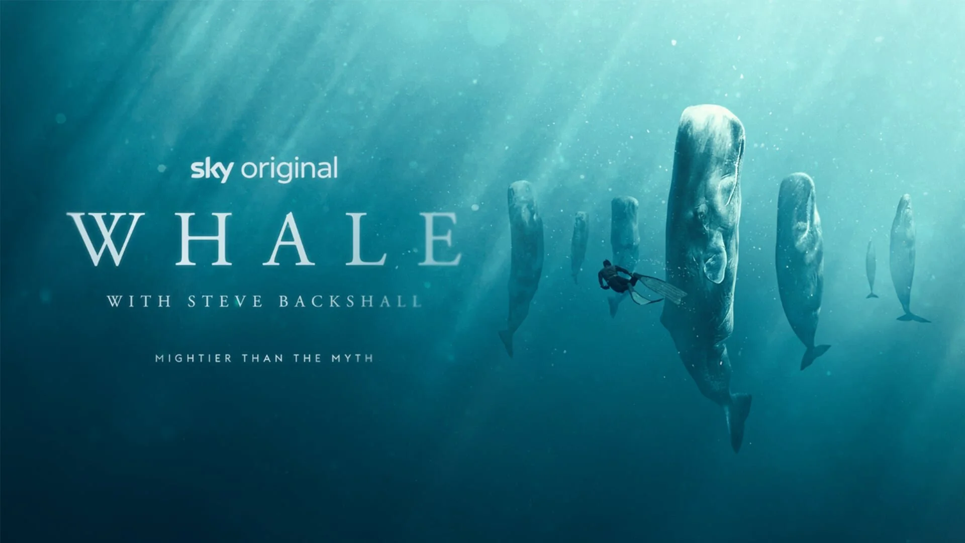 Ballenas con Steve Backshall