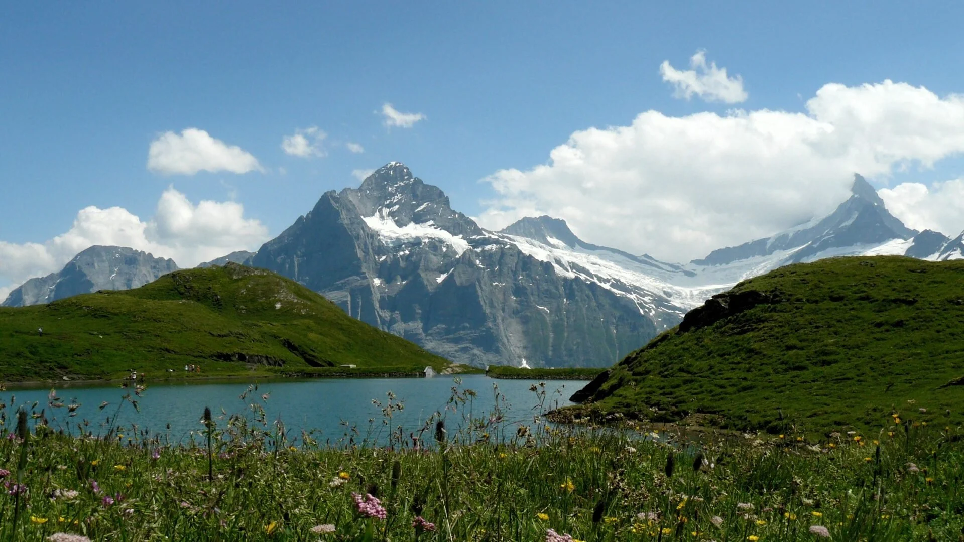Suiza Salvaje
