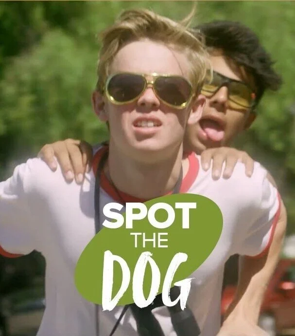 Spot the Dog Poster