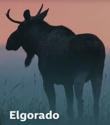 Pôster de Elgorado