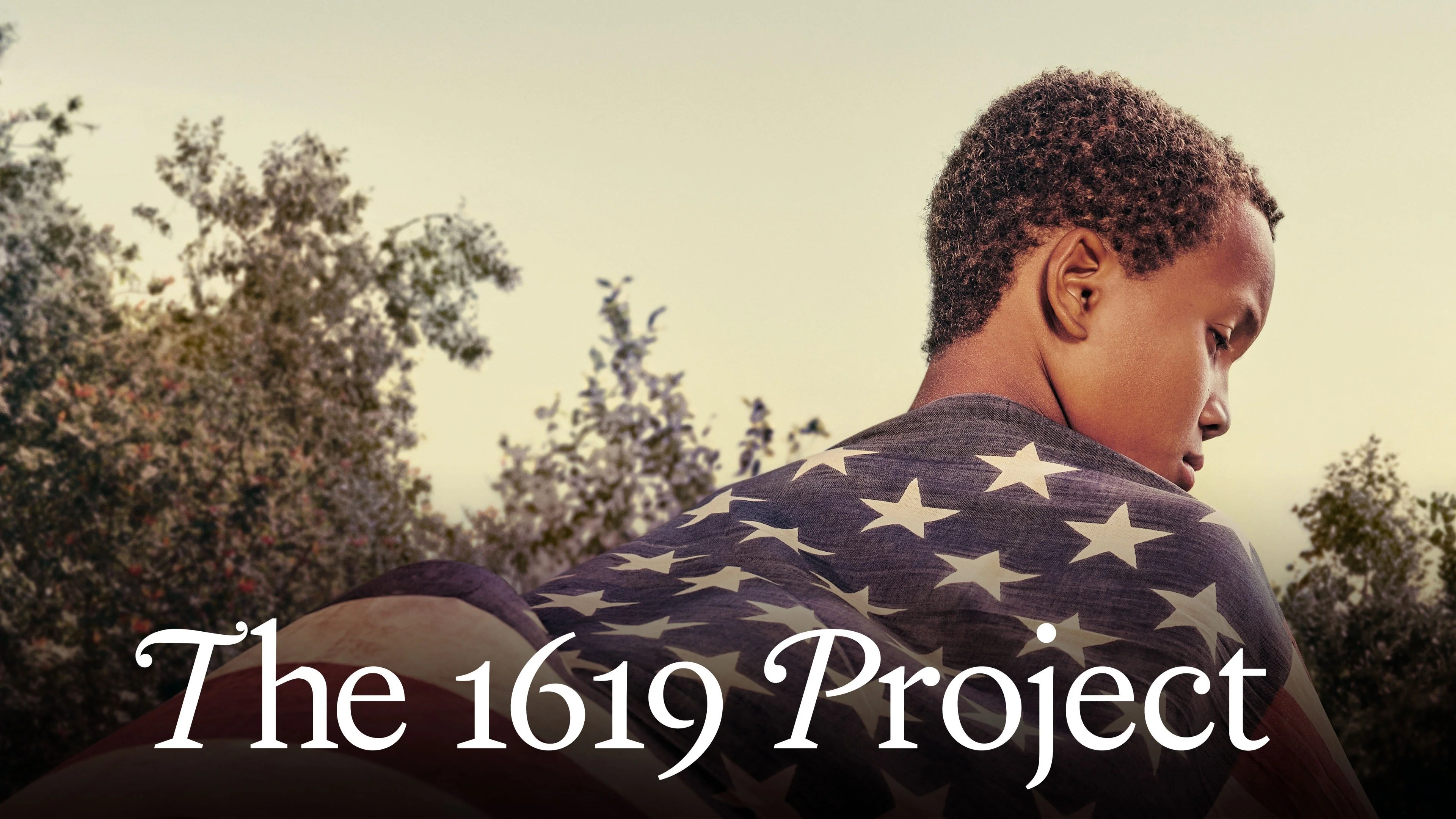 Proyecto 1619
