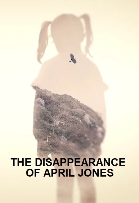 Affiche de The Disappearance of April Jones