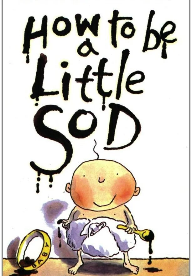 How to Be a Little S*d Poster