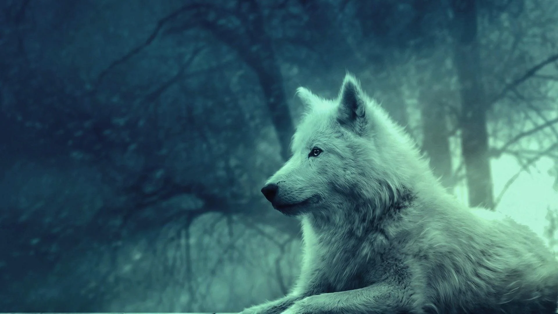 La dinastía del lobo de Yellowstone