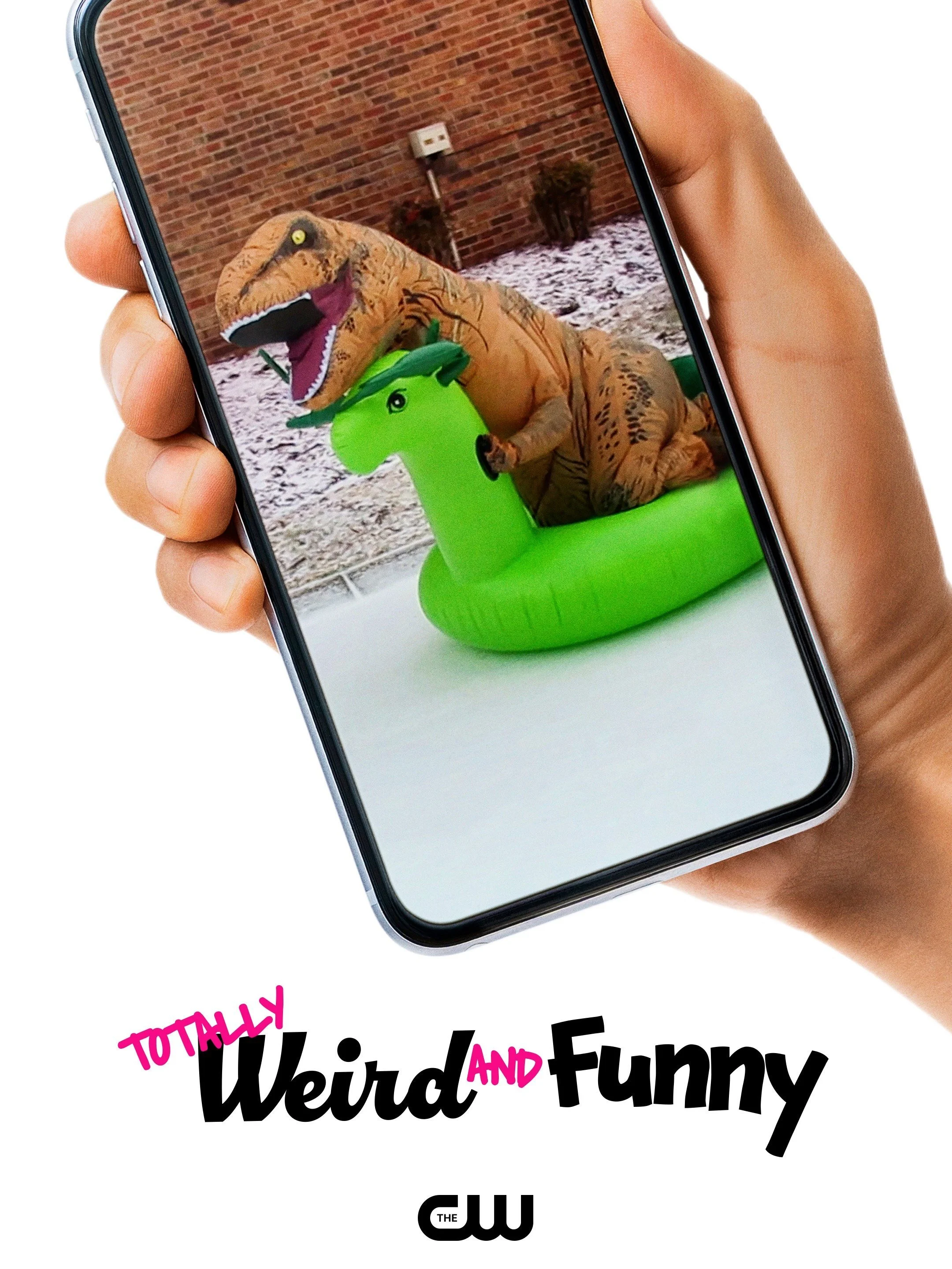 Totally Weird and Funny Poster