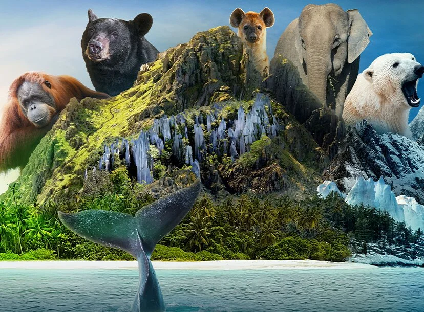 Islands: Nature's Wild Laboratories
