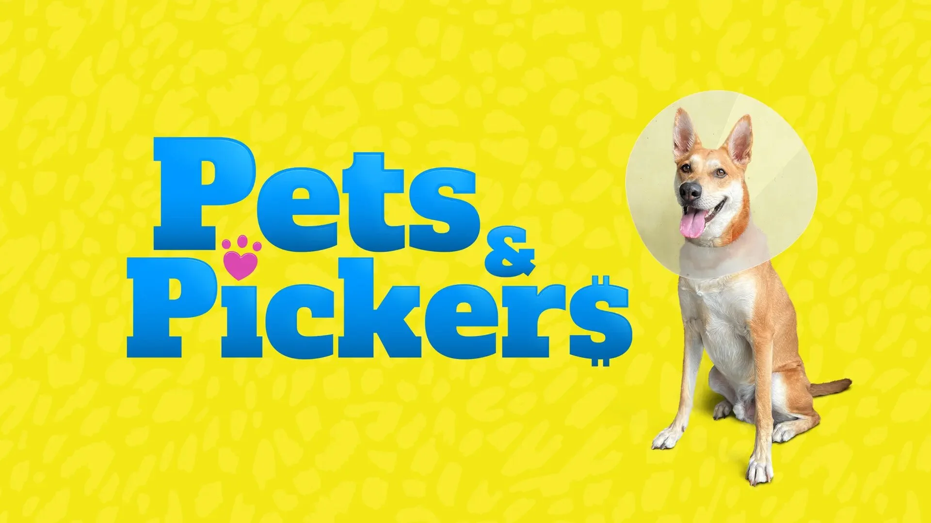 Pets & Pickers