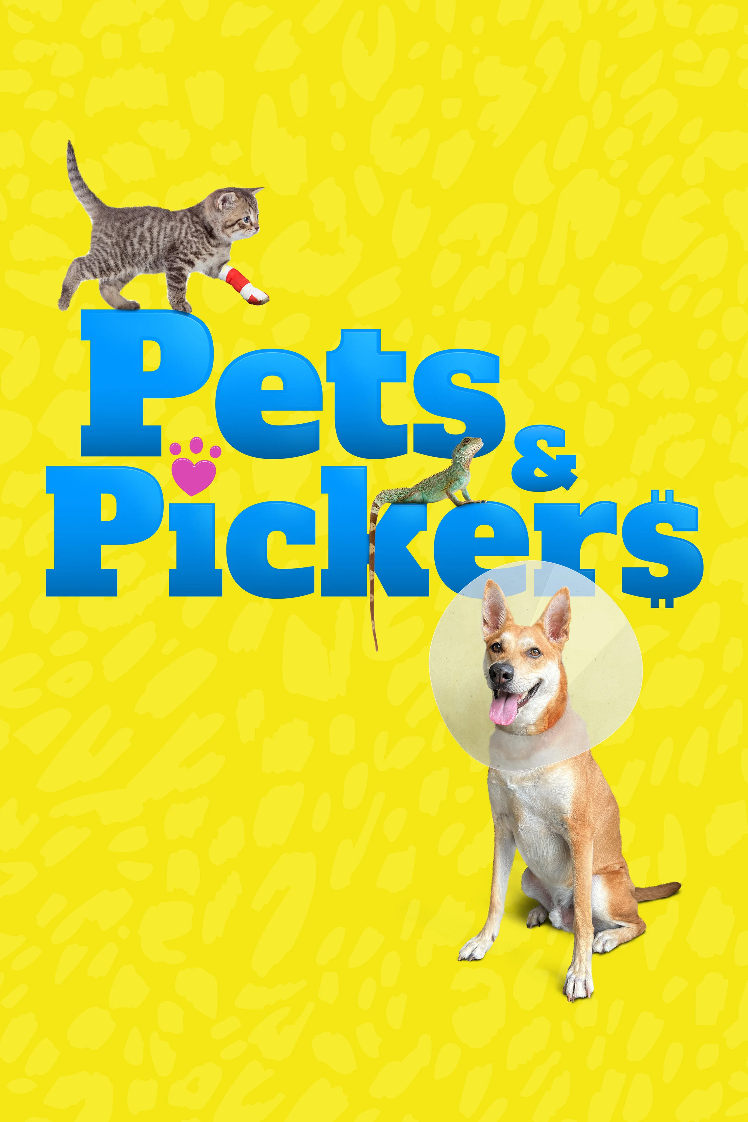 Poster di Pets & Pickers