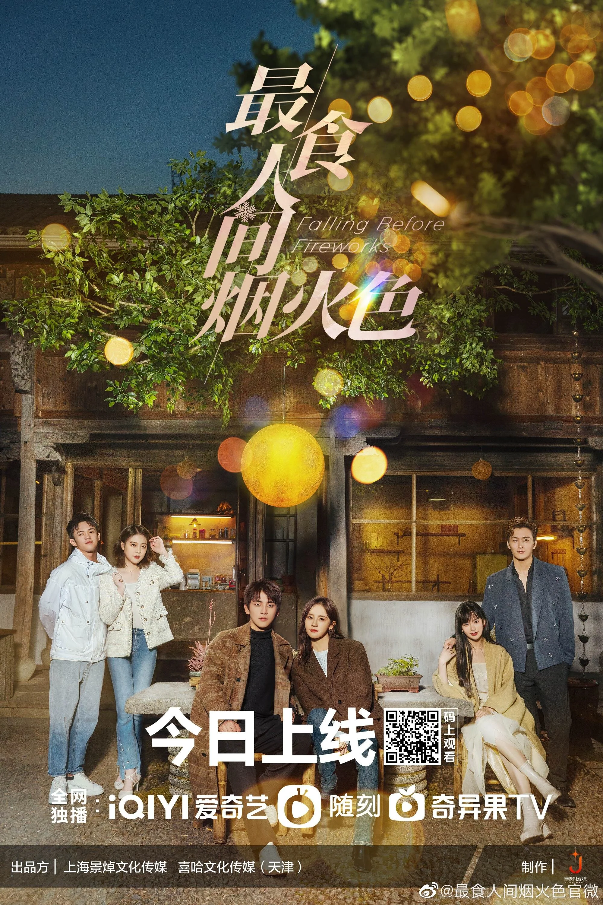 Affiche de Falling Before Fireworks