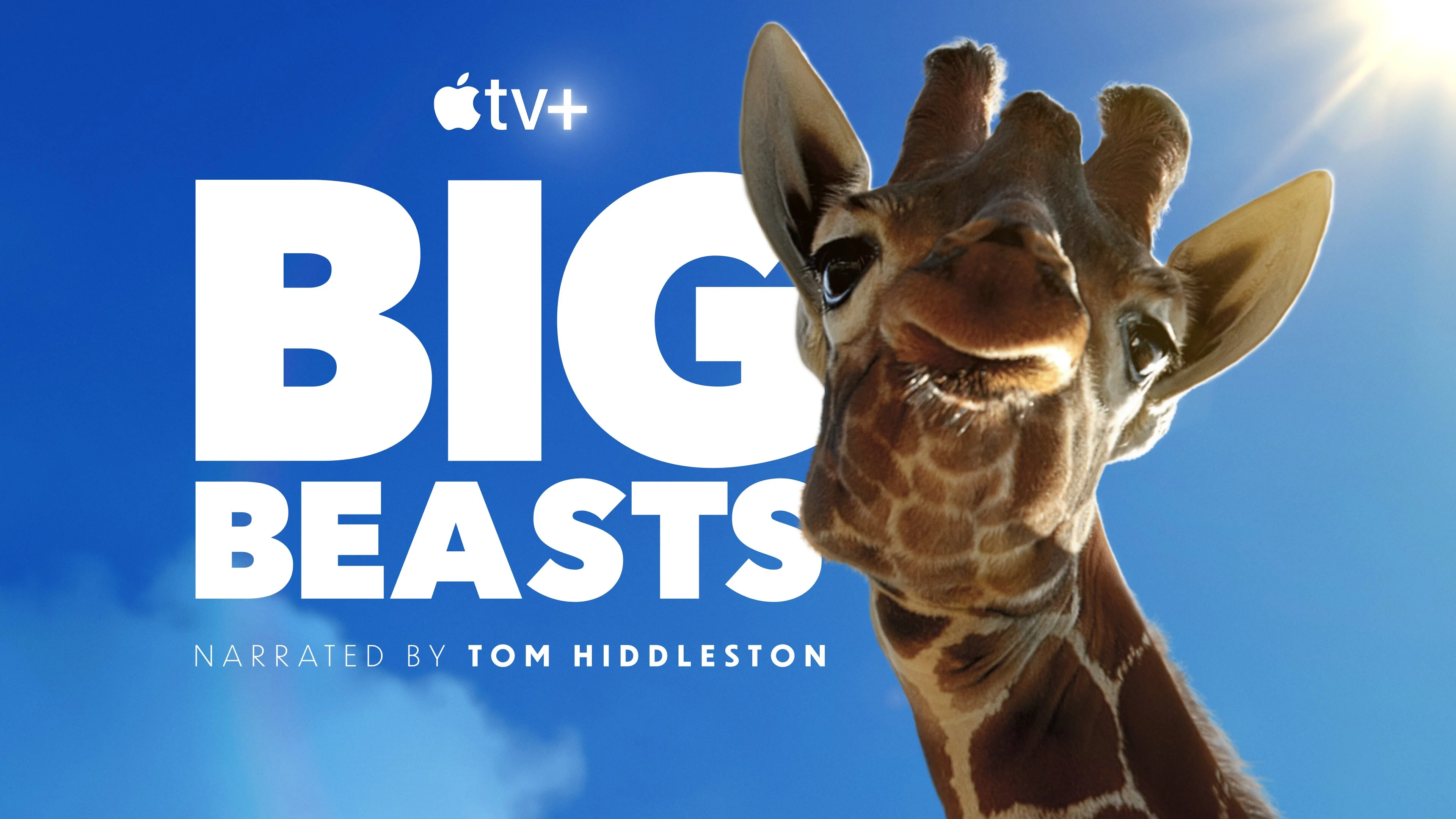 Big Beasts : sur les traces des géants