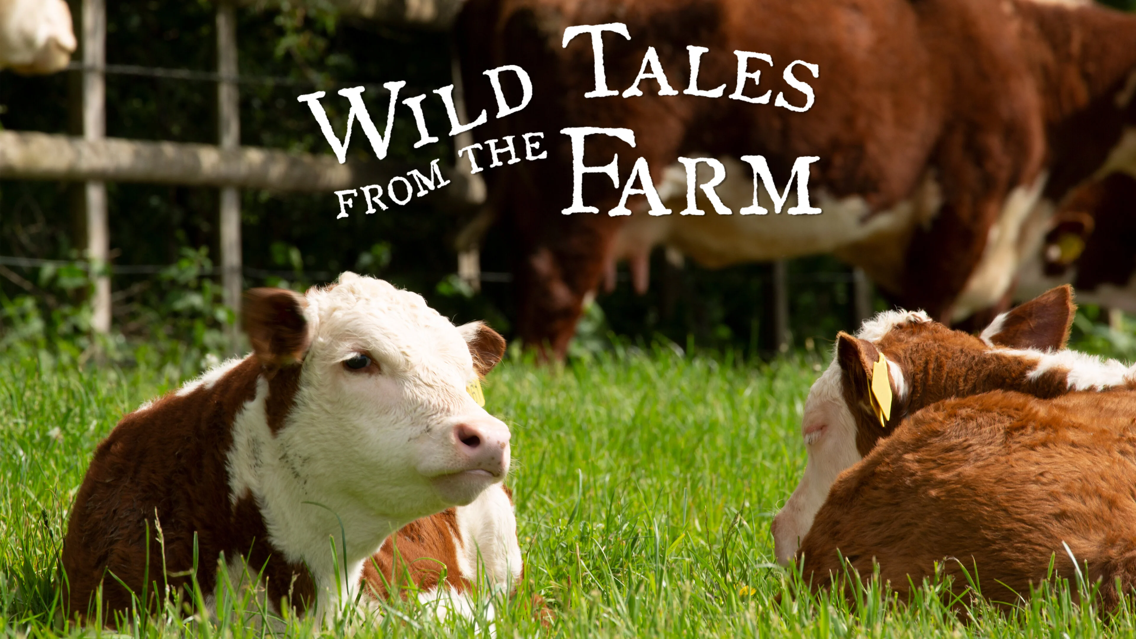 Wild Tales from the Farm
