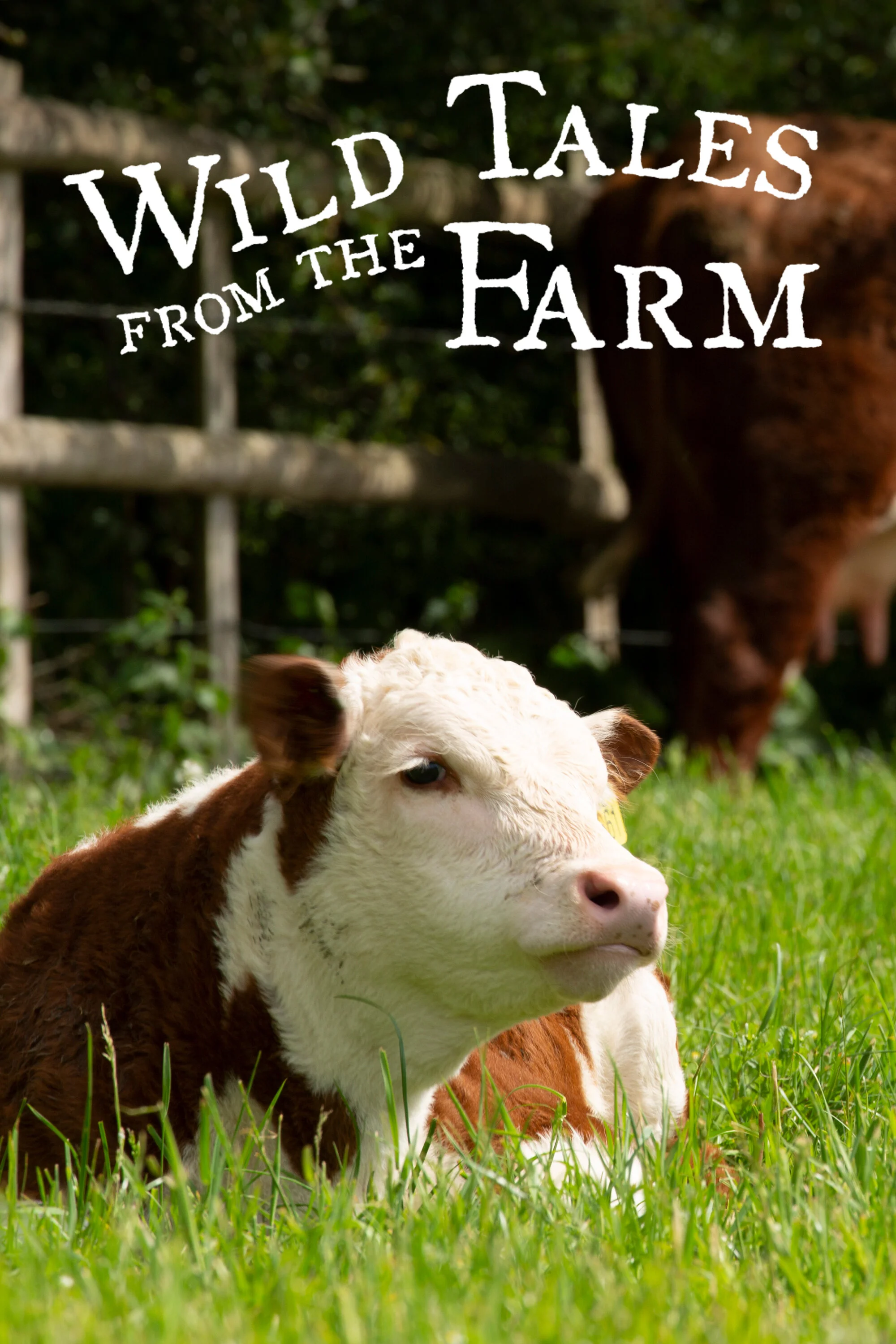 Pôster de Wild Tales from the Farm