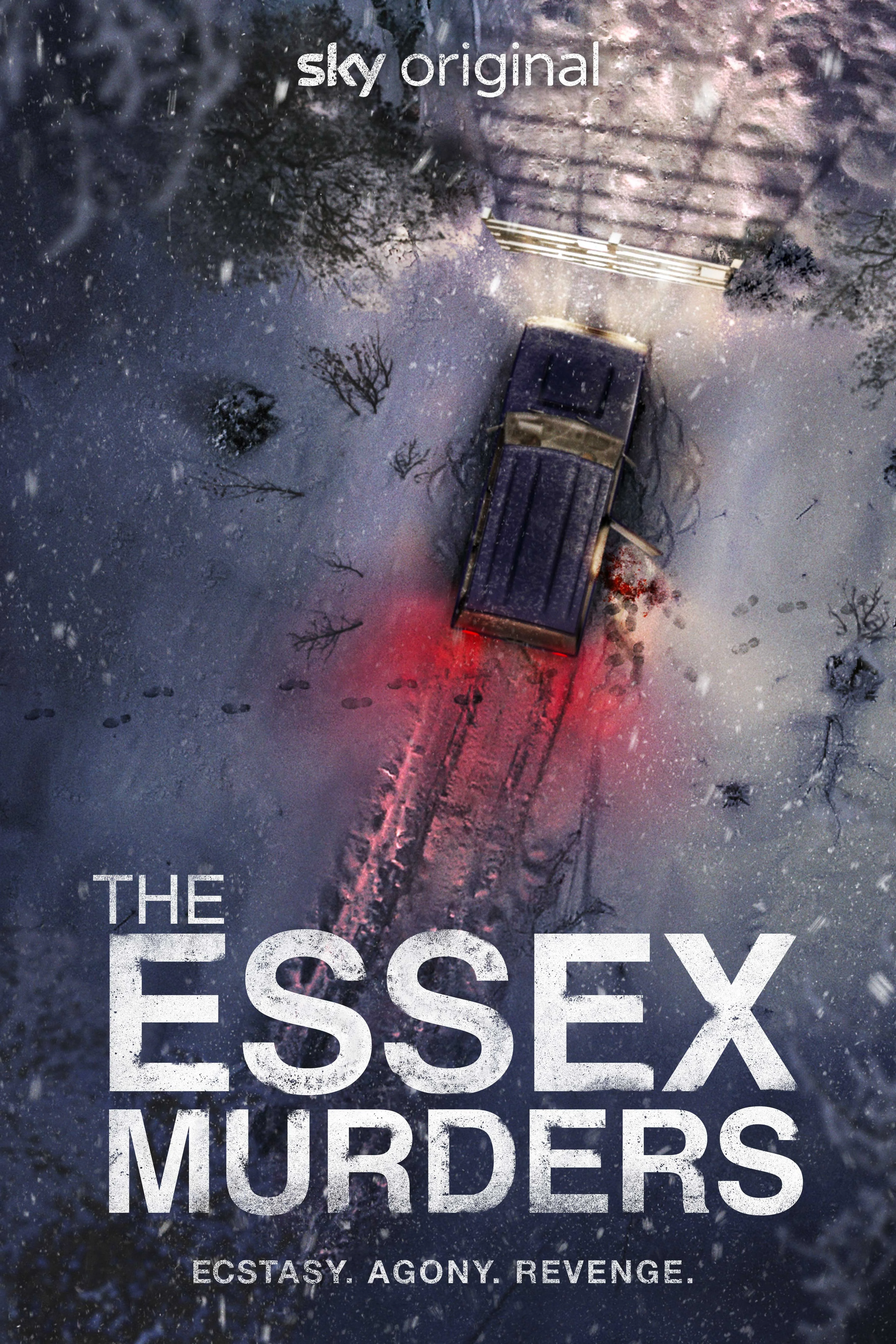 Affiche de The Essex Murders