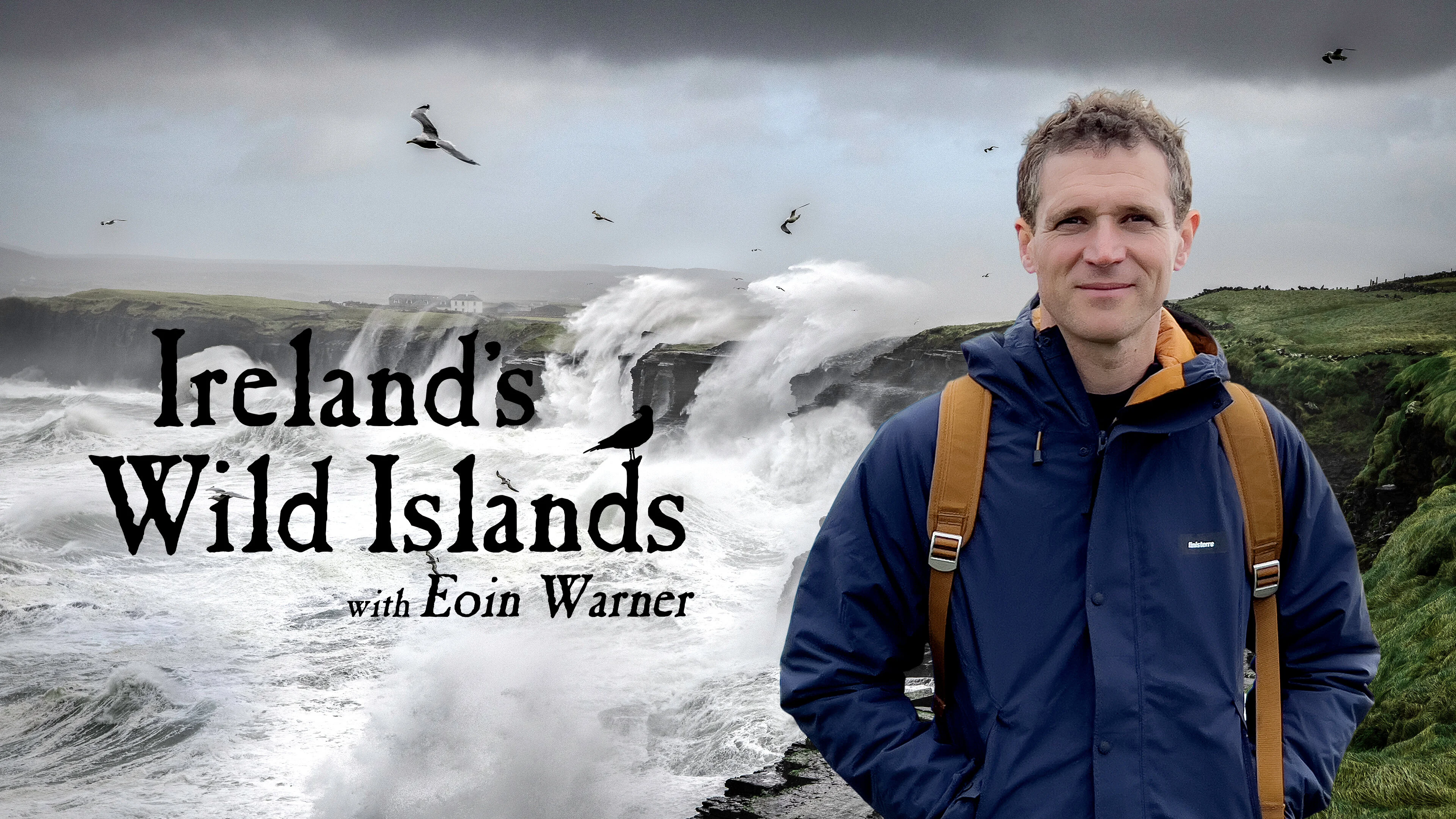Ireland's Wild Islands