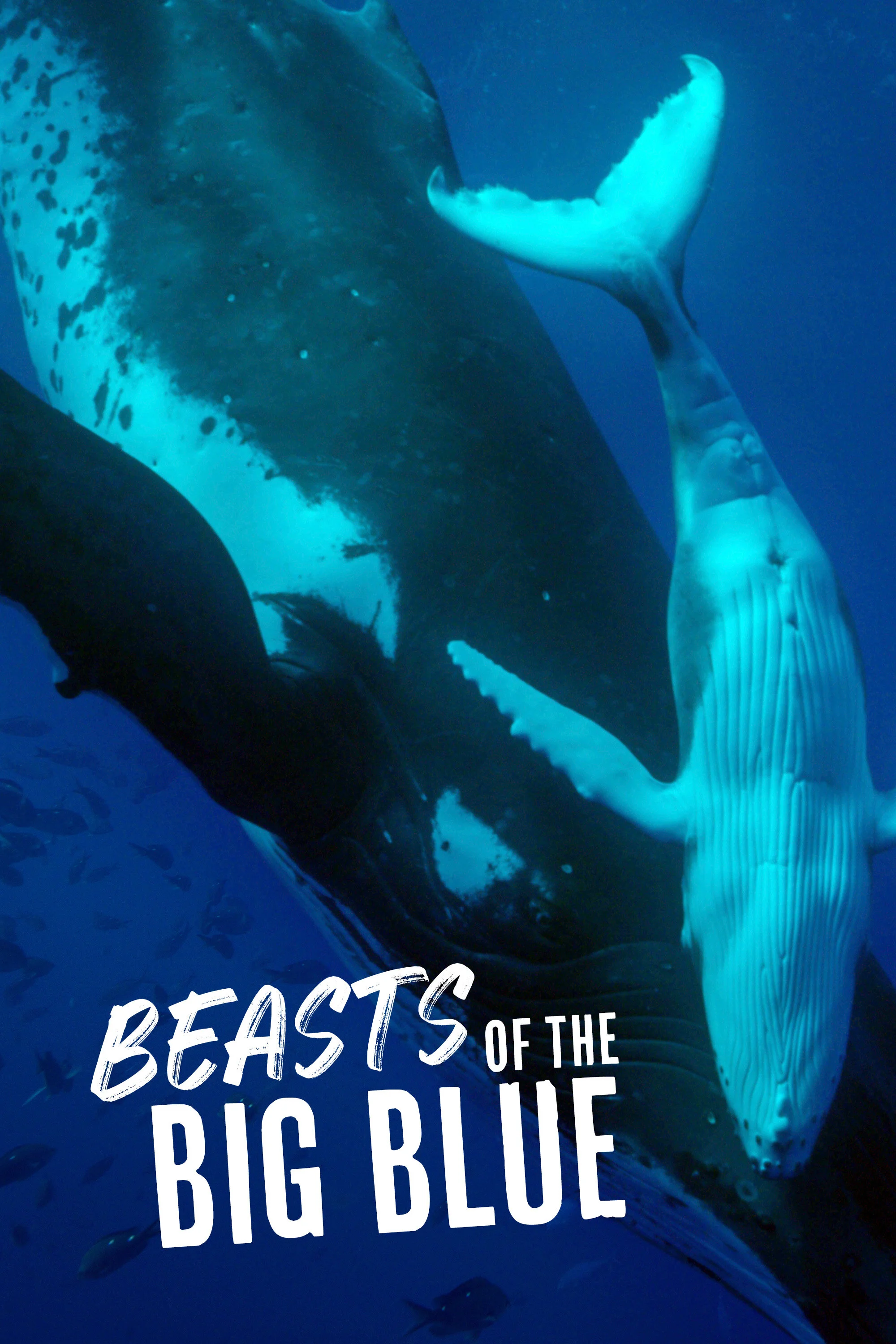 Pôster de Beasts of the Big Blue