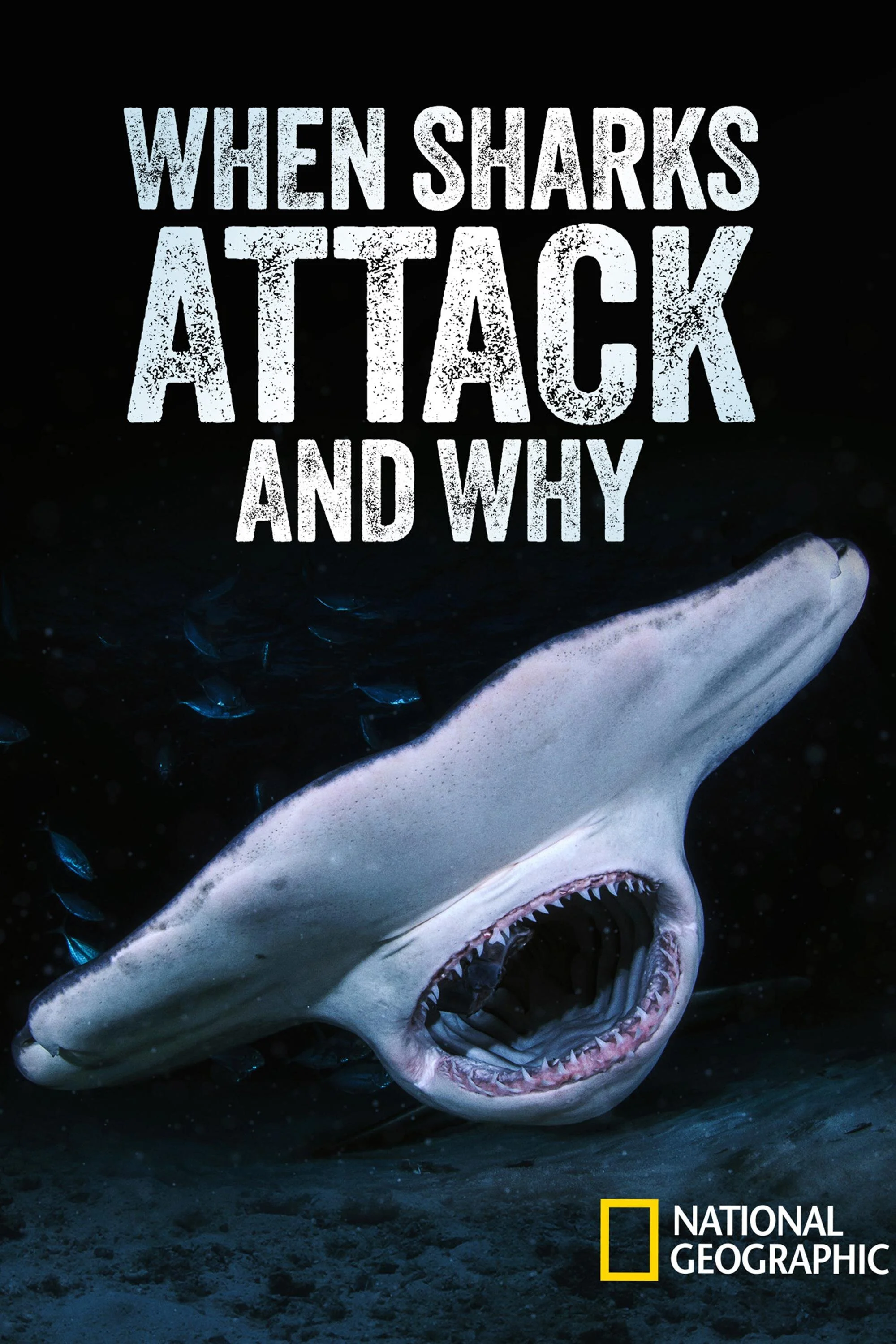 Pôster de When Sharks Attack... And Why