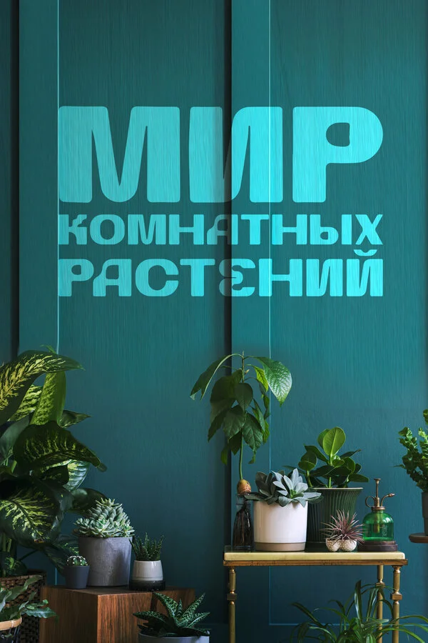 ÄĹ›ÄÂ¸Ĺâ‚¬ ÄĹźÄÄľÄÄ˝ÄËťÄÂ°Ĺâ€šÄËťĹâ€ąĹâ€¦ Ĺâ‚¬ÄÂ°ĹÂĹâ€šÄÂµÄËťÄÂ¸ÄÄ… poster