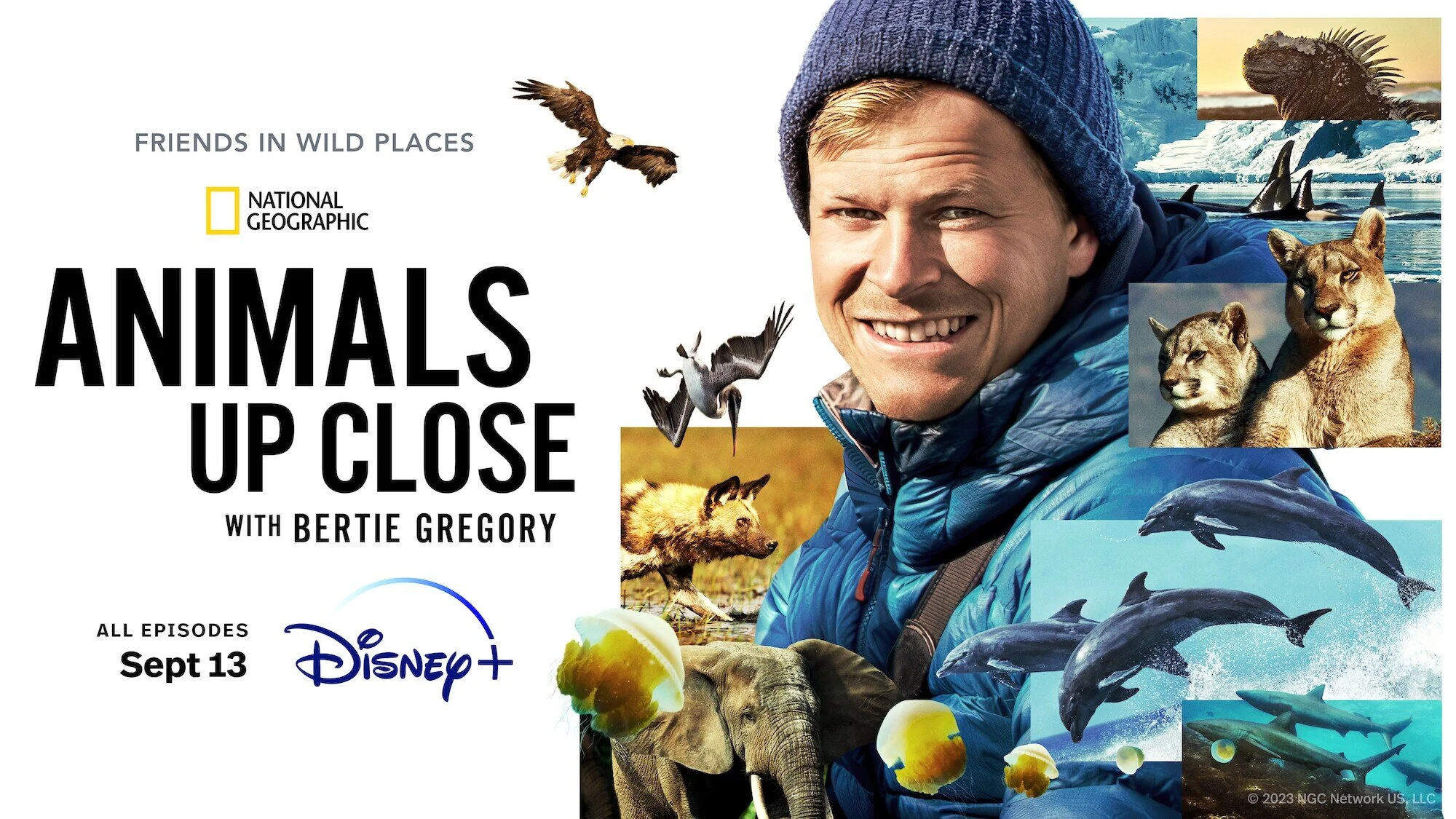 Animals Up Close with Bertie Gregory