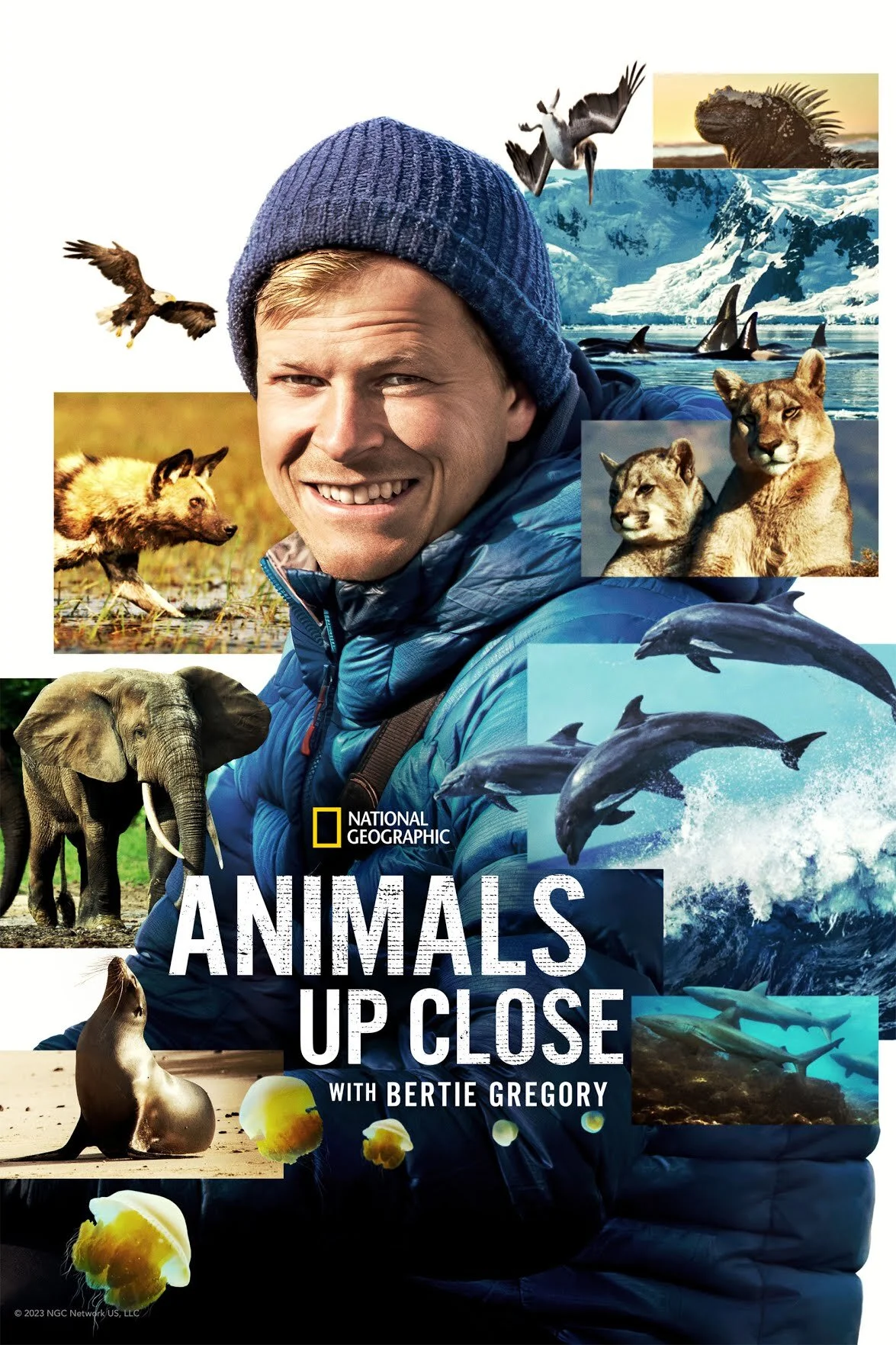 Affiche de Au plus près des animaux avec Bertie Gregory