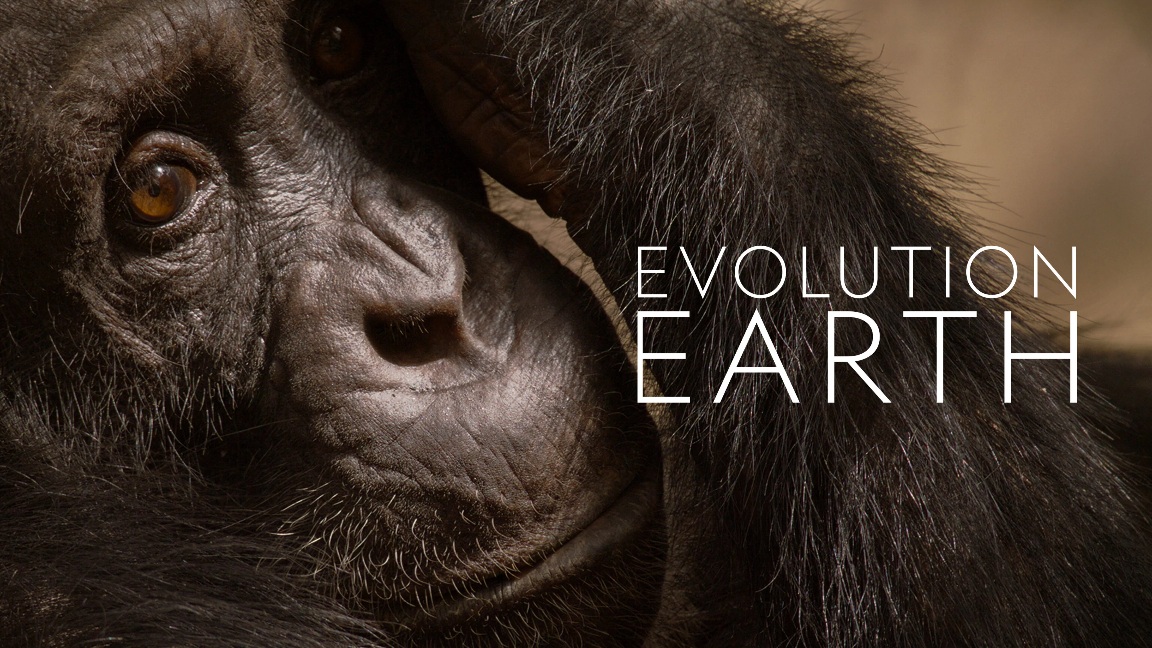 Evolution Earth