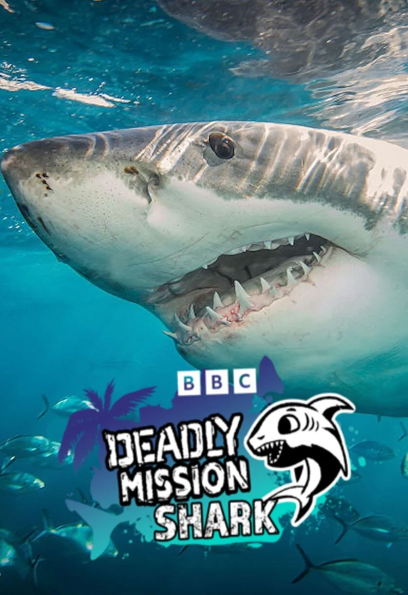 Affiche de Deadly Mission Shark