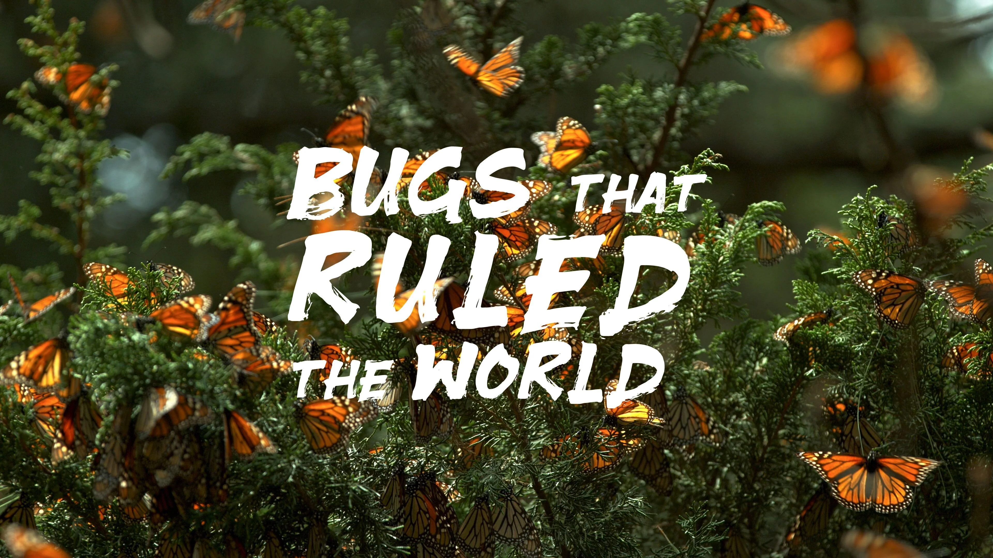 Bugs that Rule the World