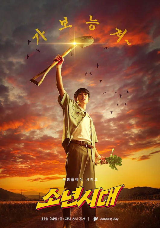 Póster de Boyhood