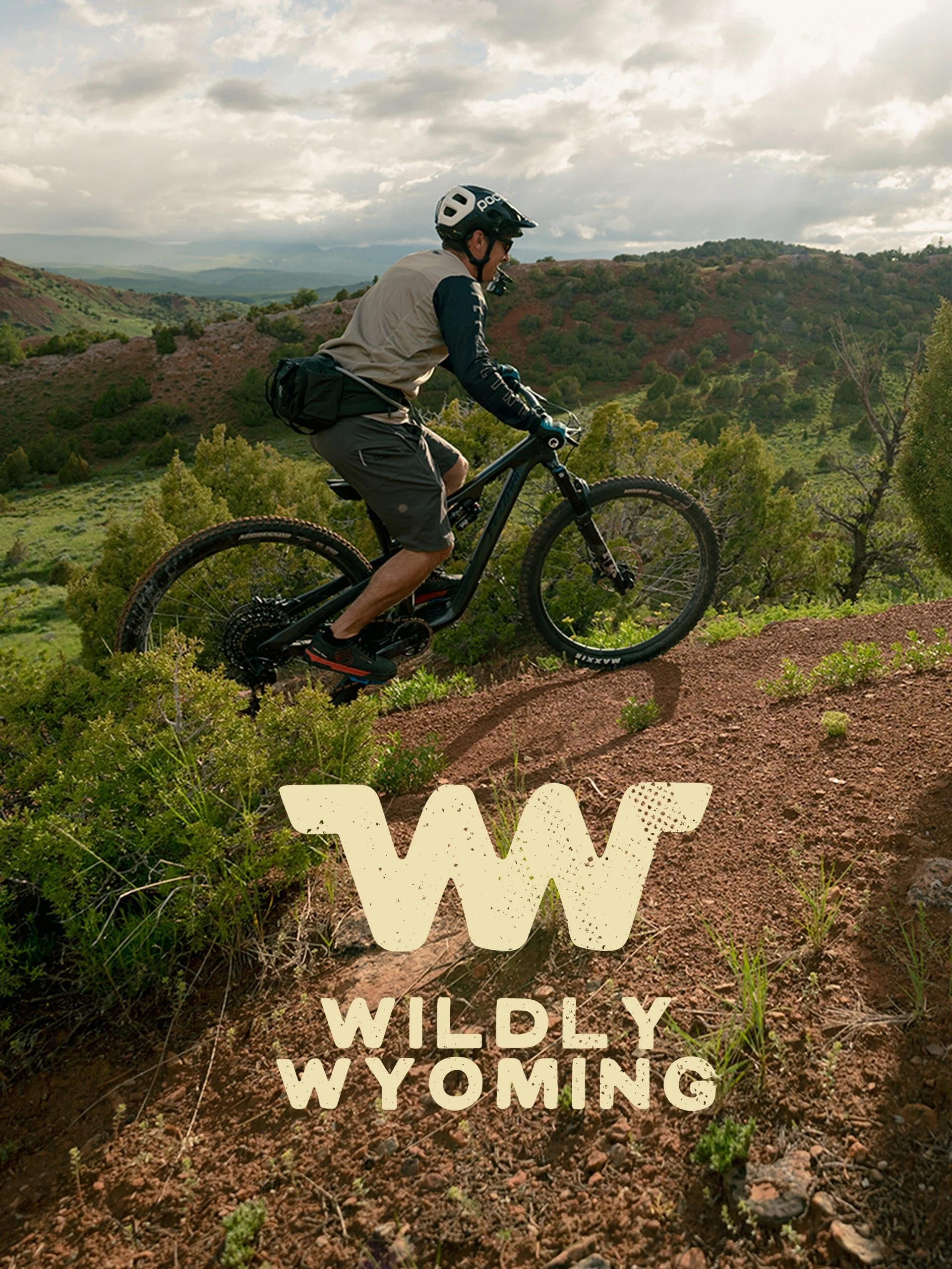 Póster de Wildly Wyoming