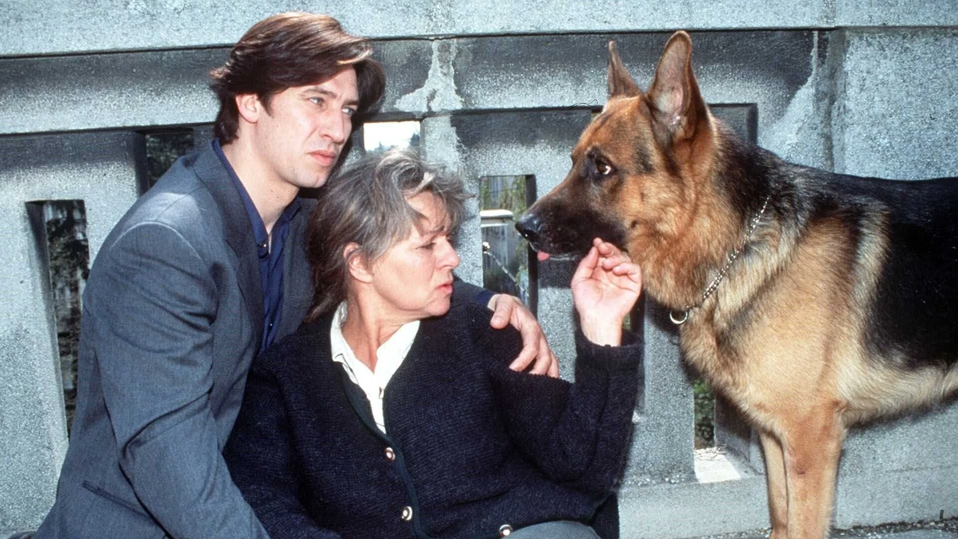 Rex, un policía diferente