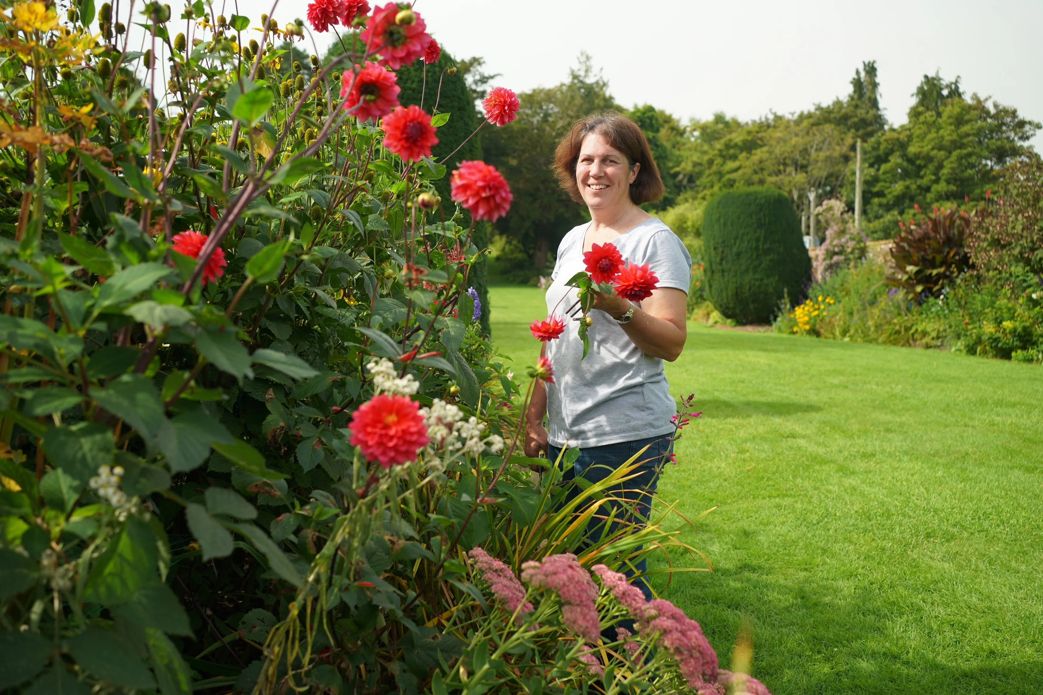 Somerset: Wonder of the West Country