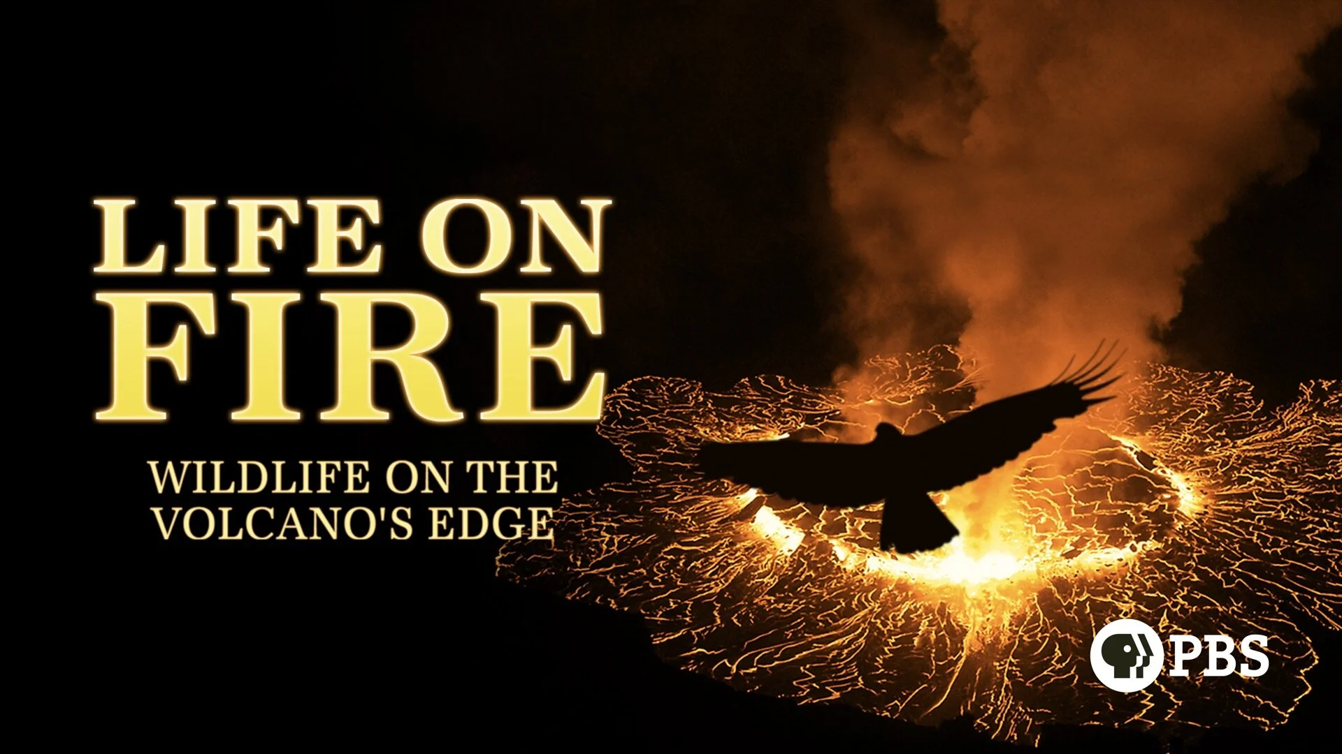 Life on Fire - Wildes Leben am Vulkan
