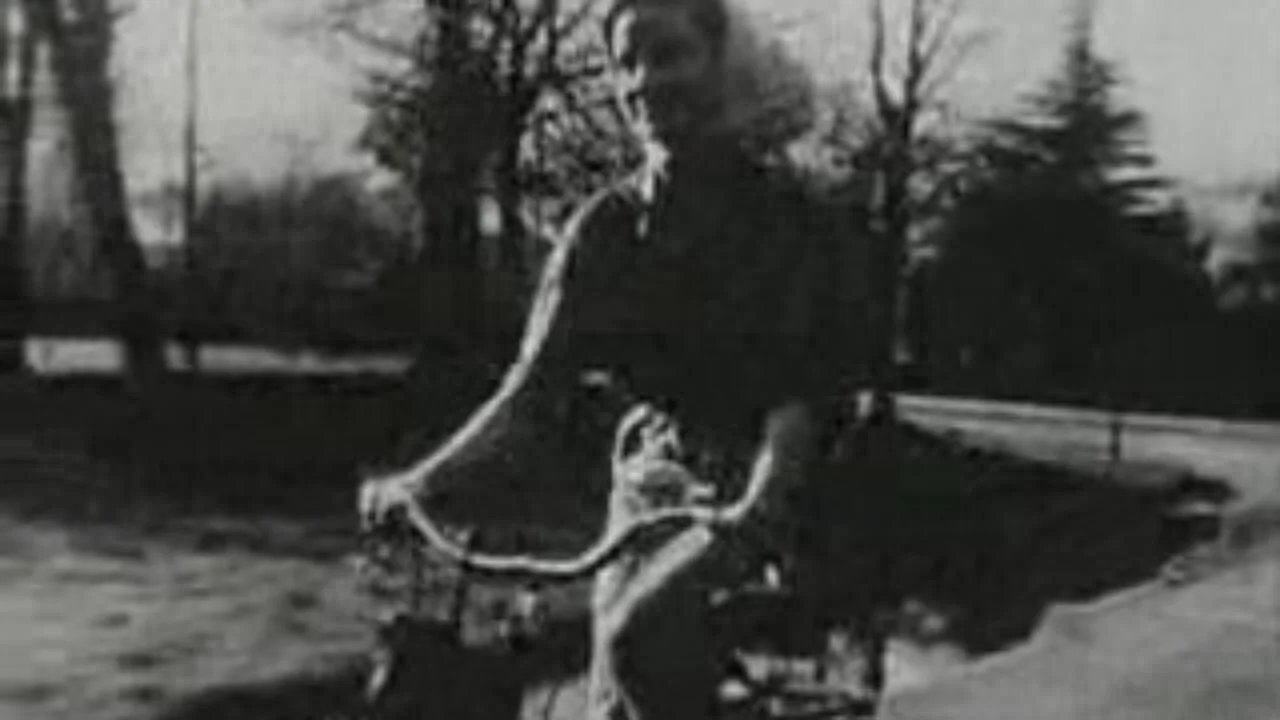 Janique Aimée