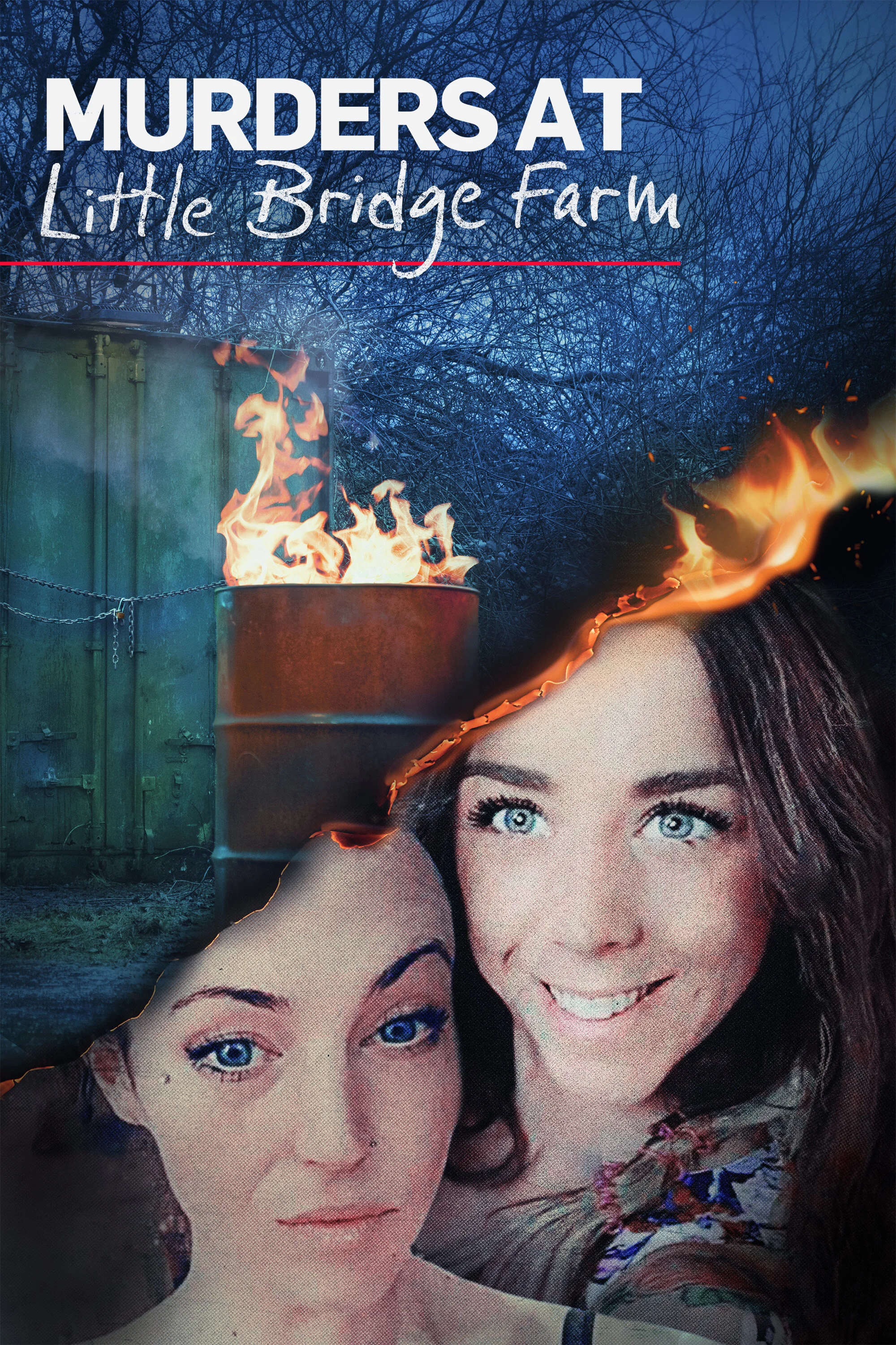 Póster de Murders at Little Bridge Farm