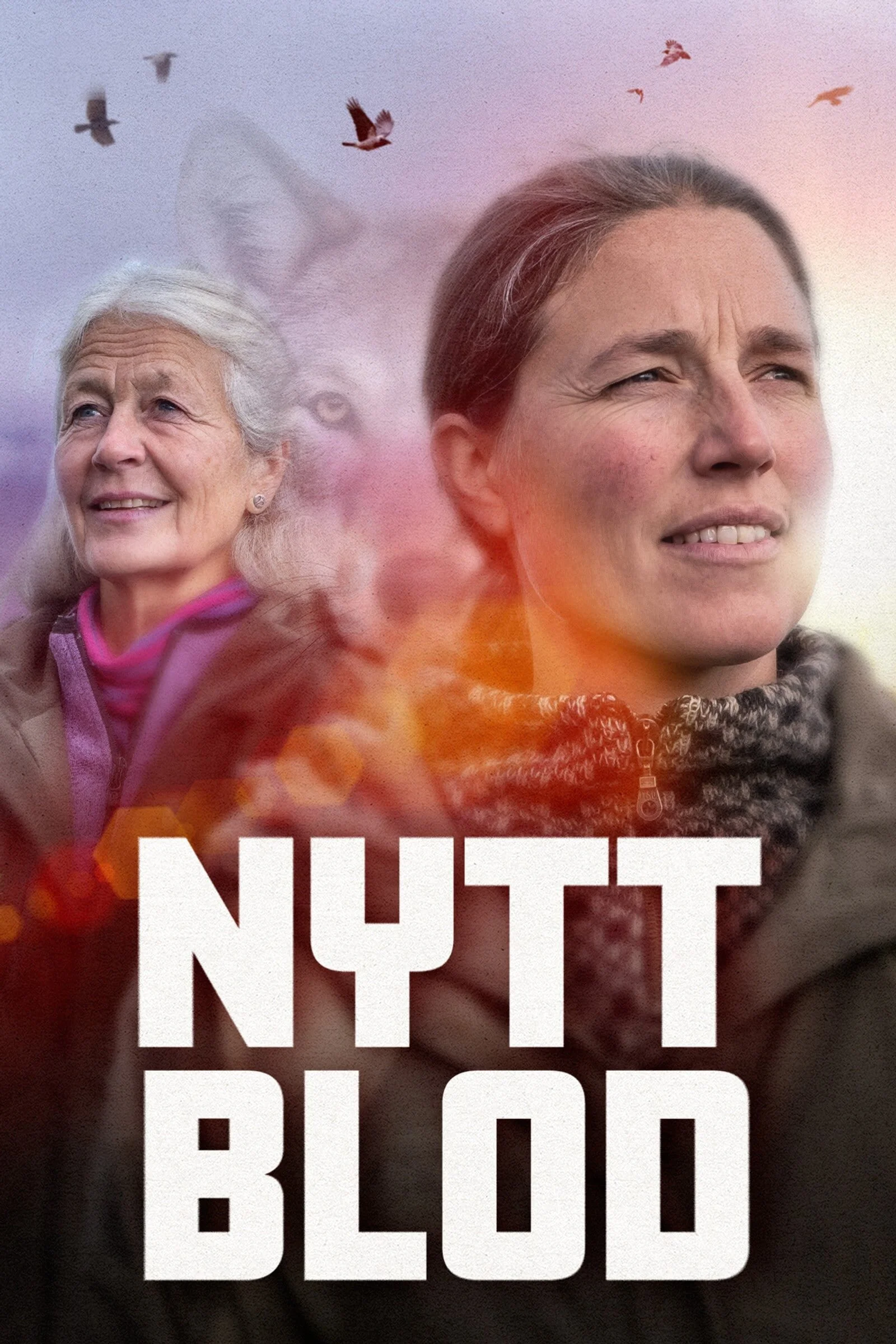 Póster de Nytt blod