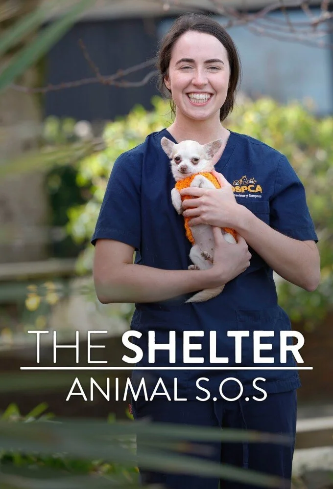 Pôster de The Shelter: Animal SOS