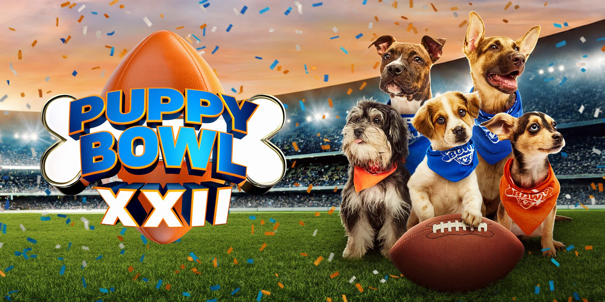 Puppy Bowl