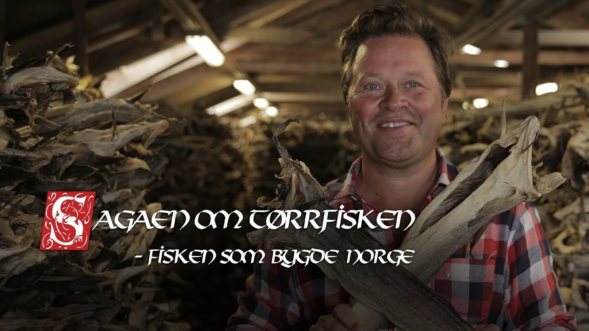 Fisken som bygde landet