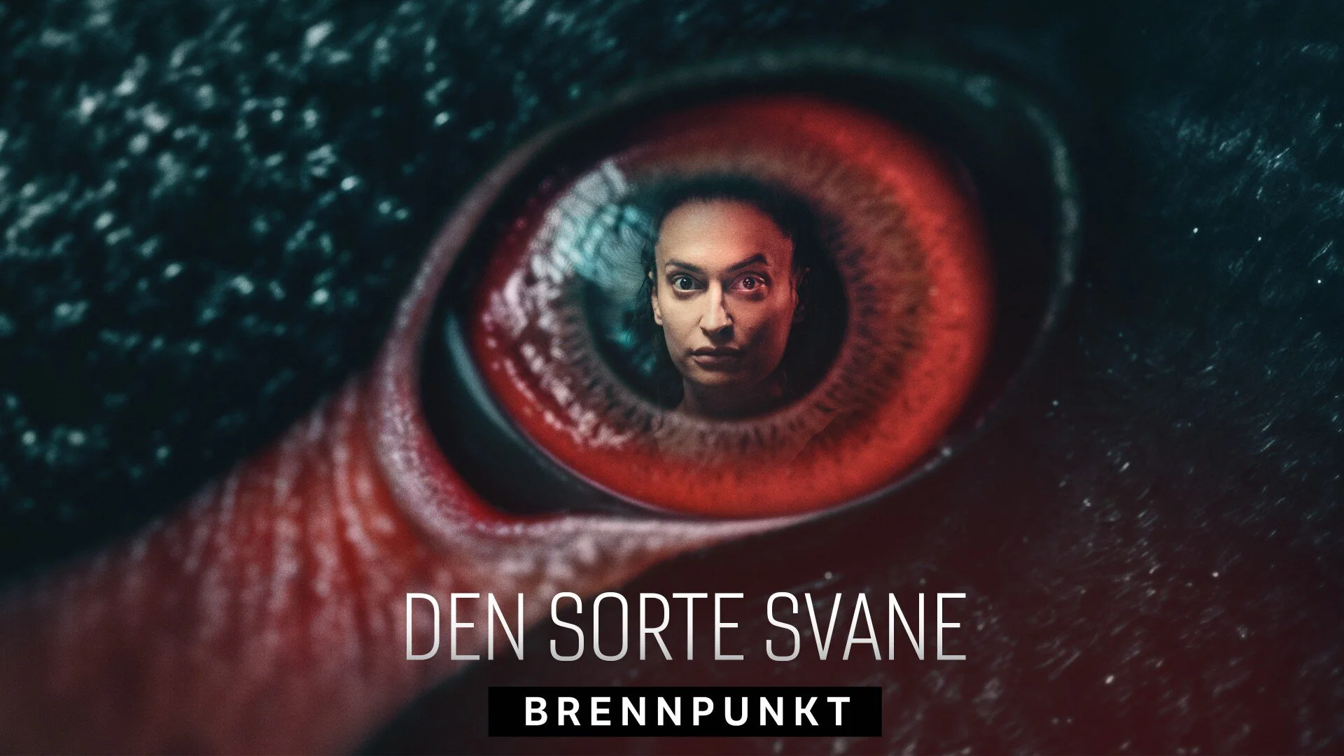 Den sorte svane