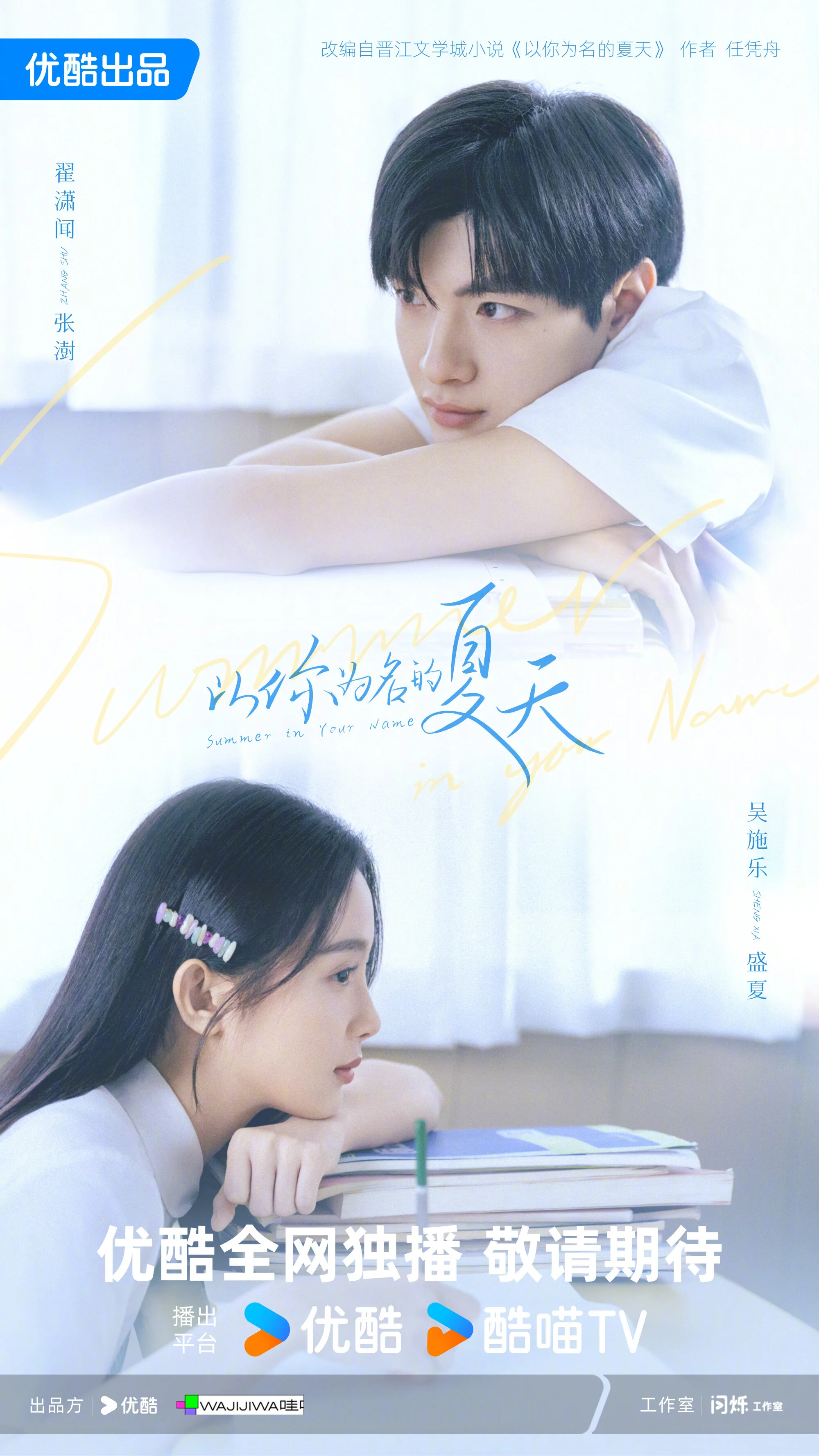 Affiche de Summer in Your Name