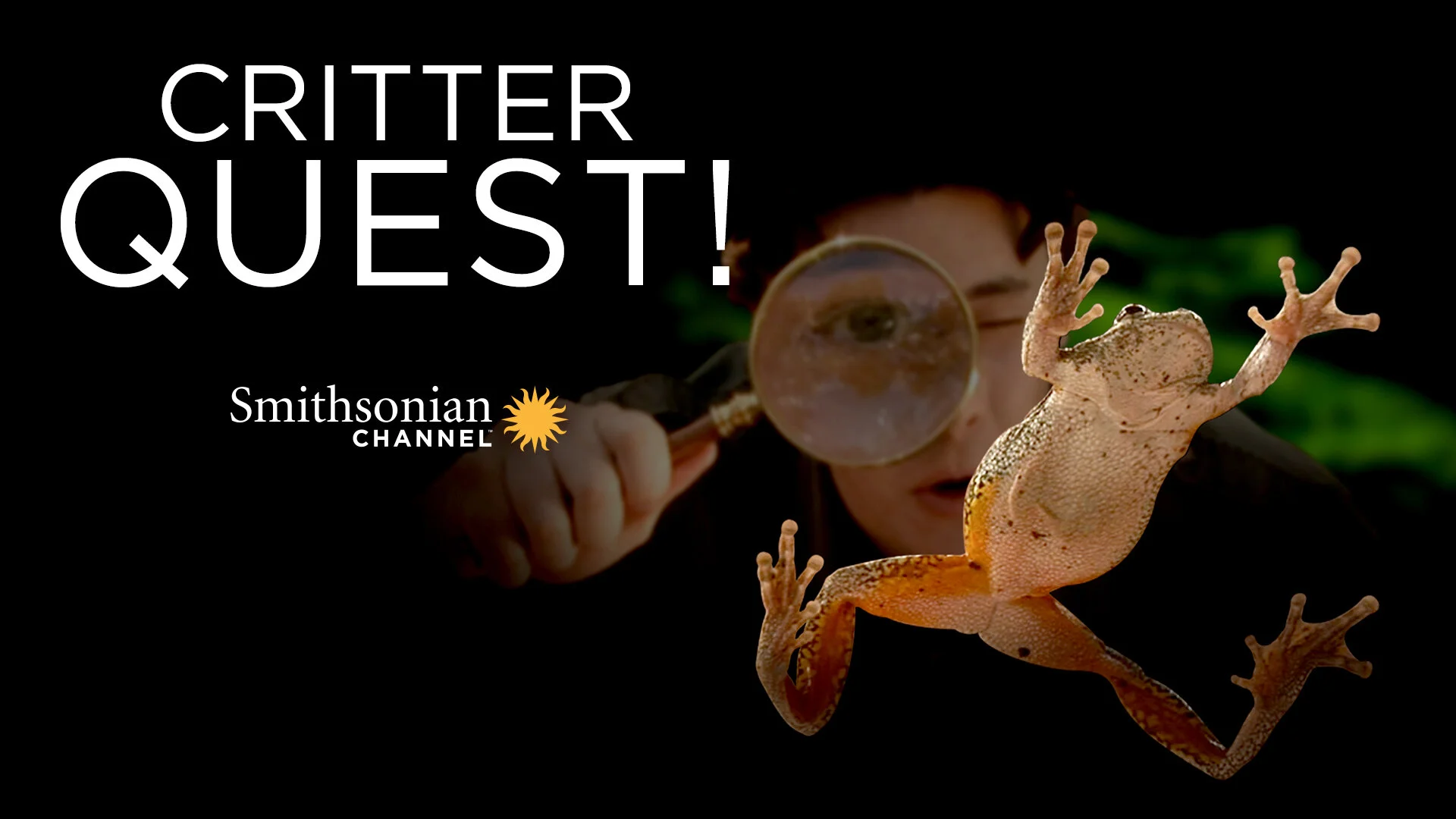 Critter Quest!