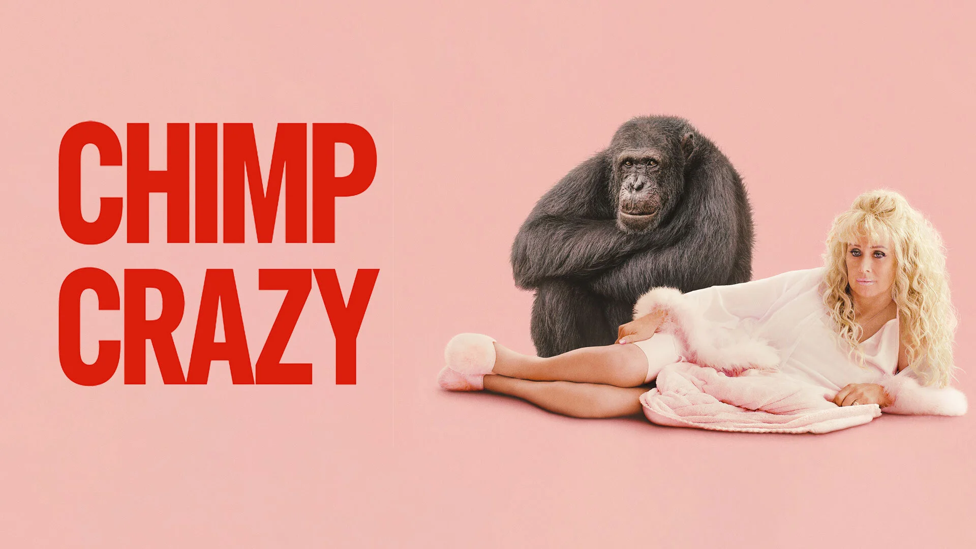 Chimp Crazy