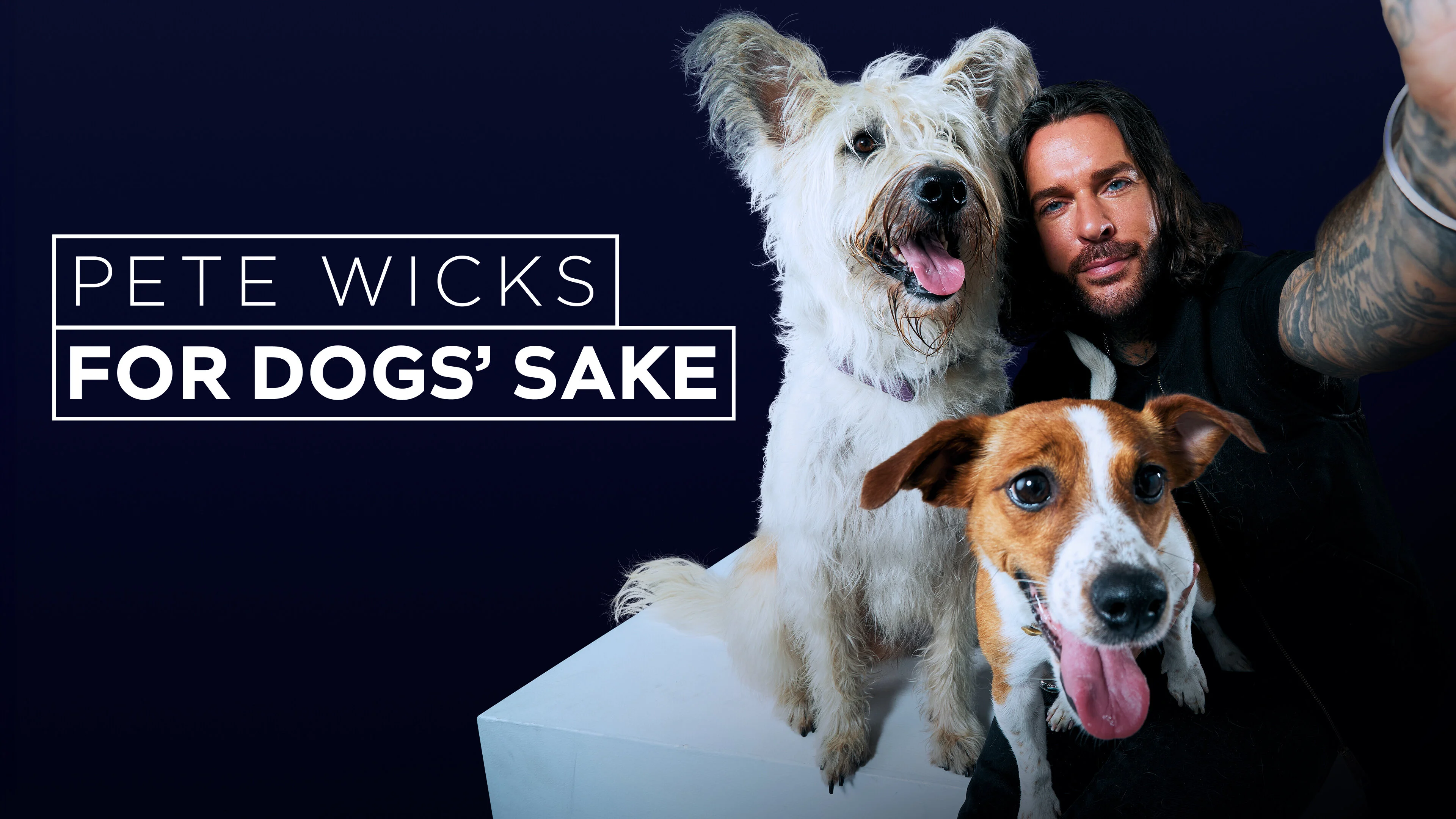 Pete Wicks: For Dogs' Sake