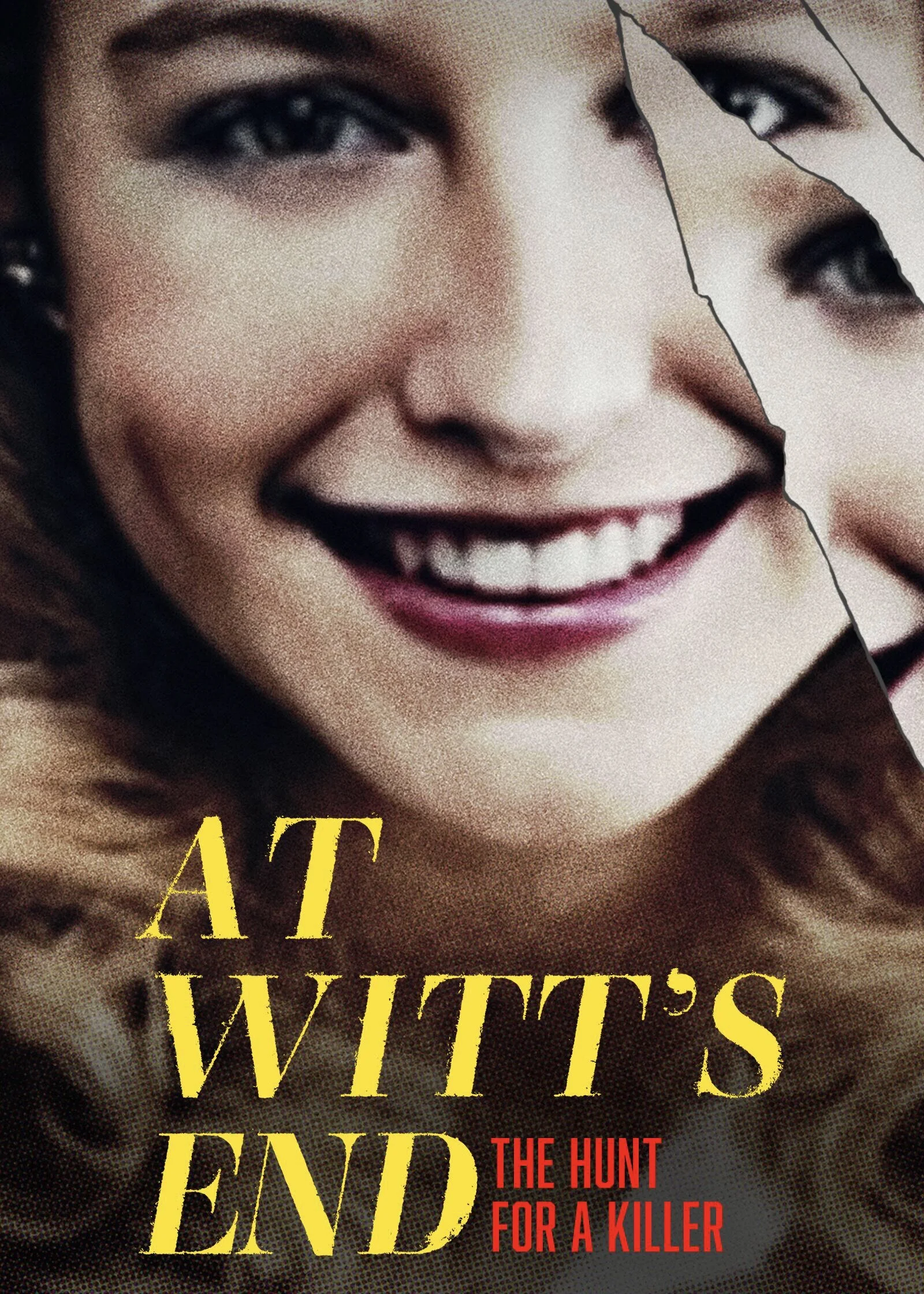 Poster di At Witt's End: The Hunt for a Killer