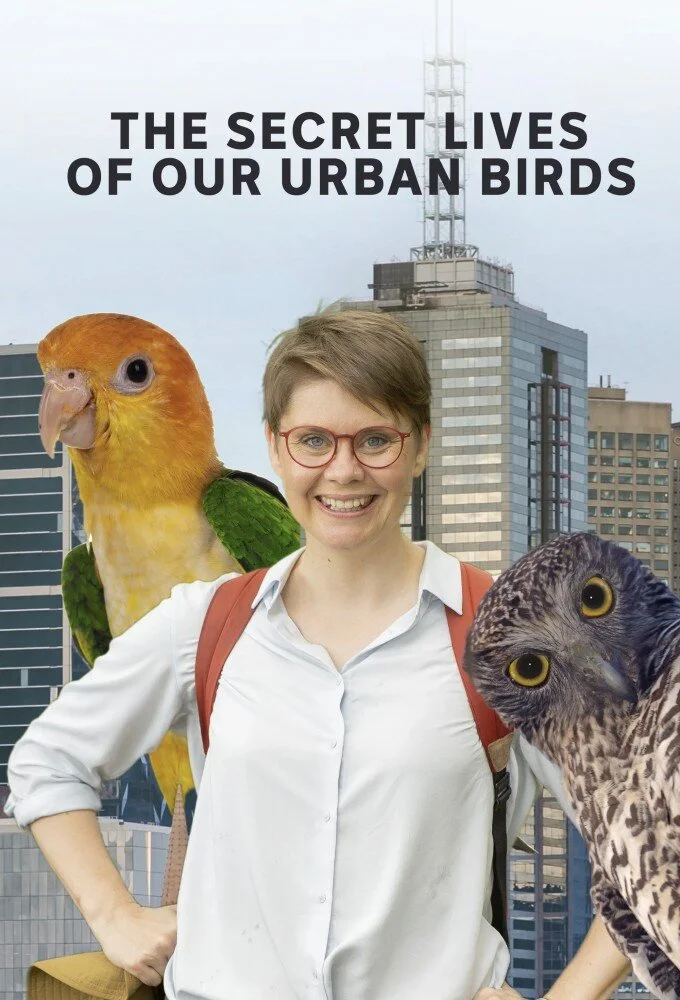 Pôster de The Secret Lives of Our Urban Birds