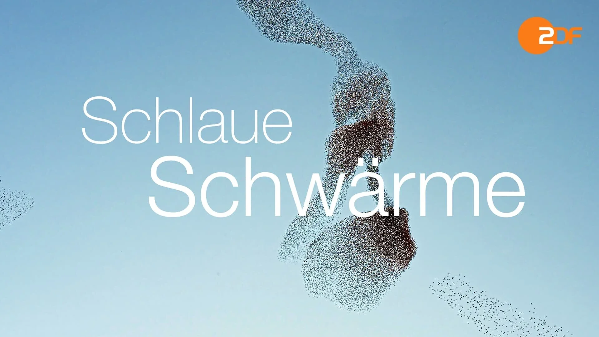 Schlaue SchwÄ‚Â¤rme